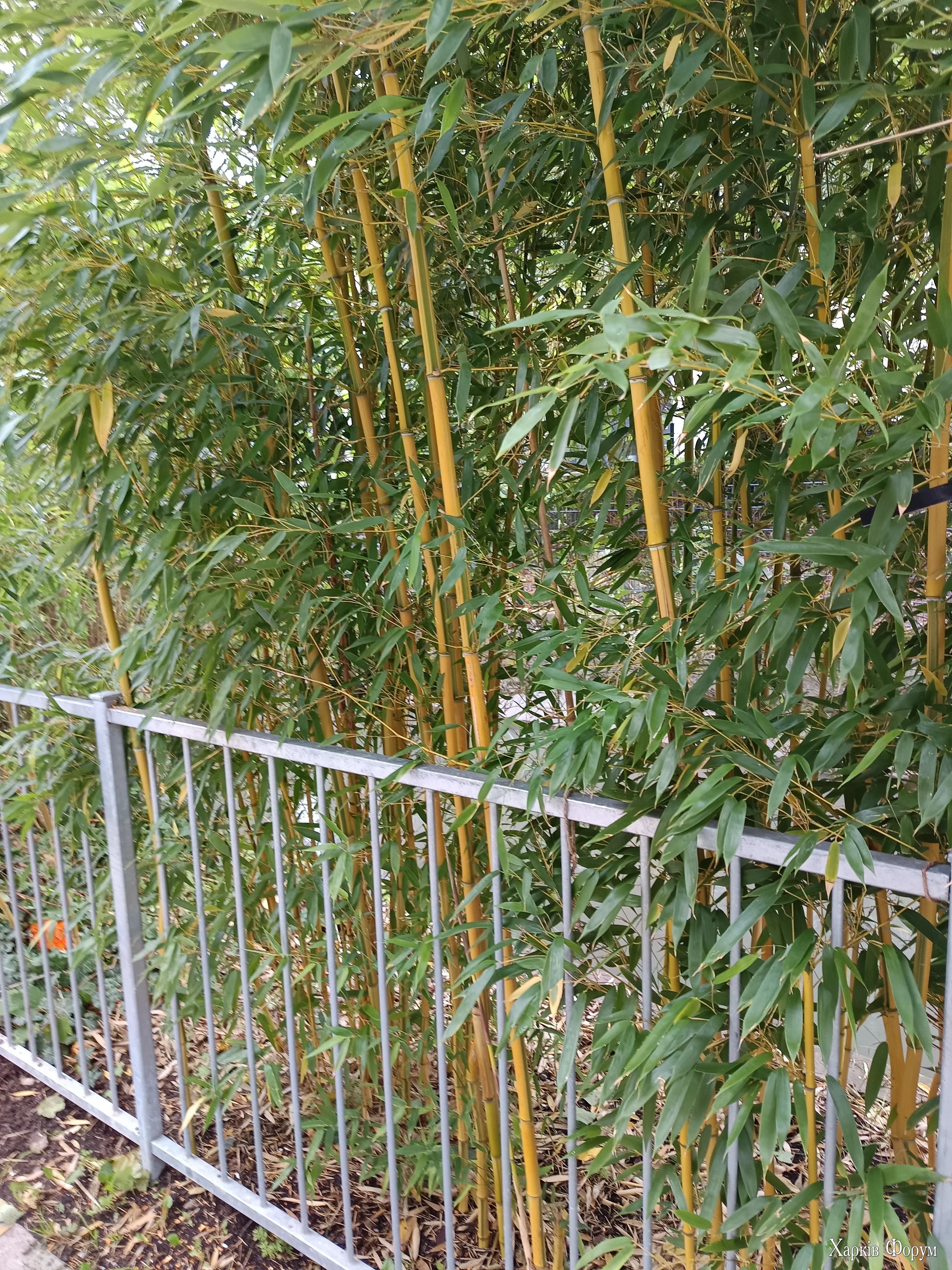 IMG_20250927_093330.webp