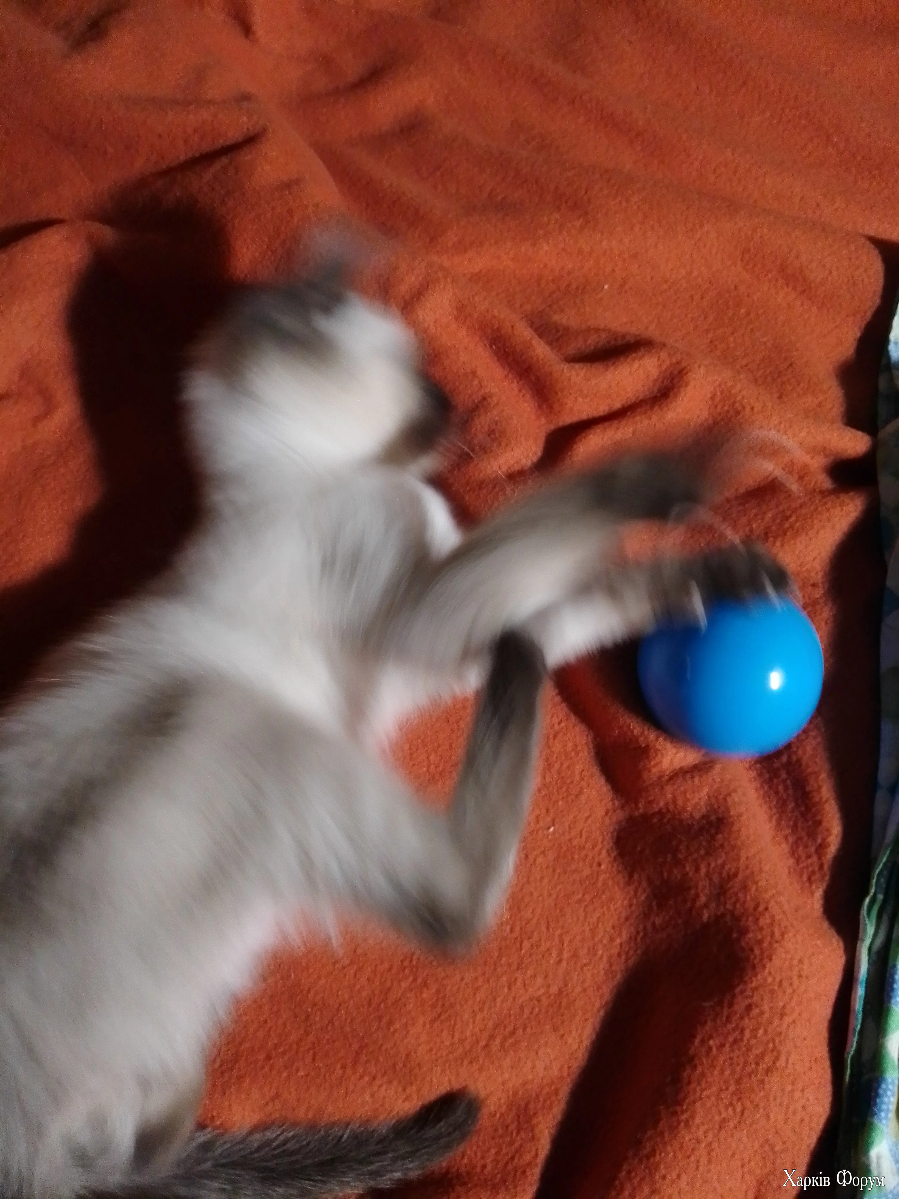 IMG_20250927_214329.webp