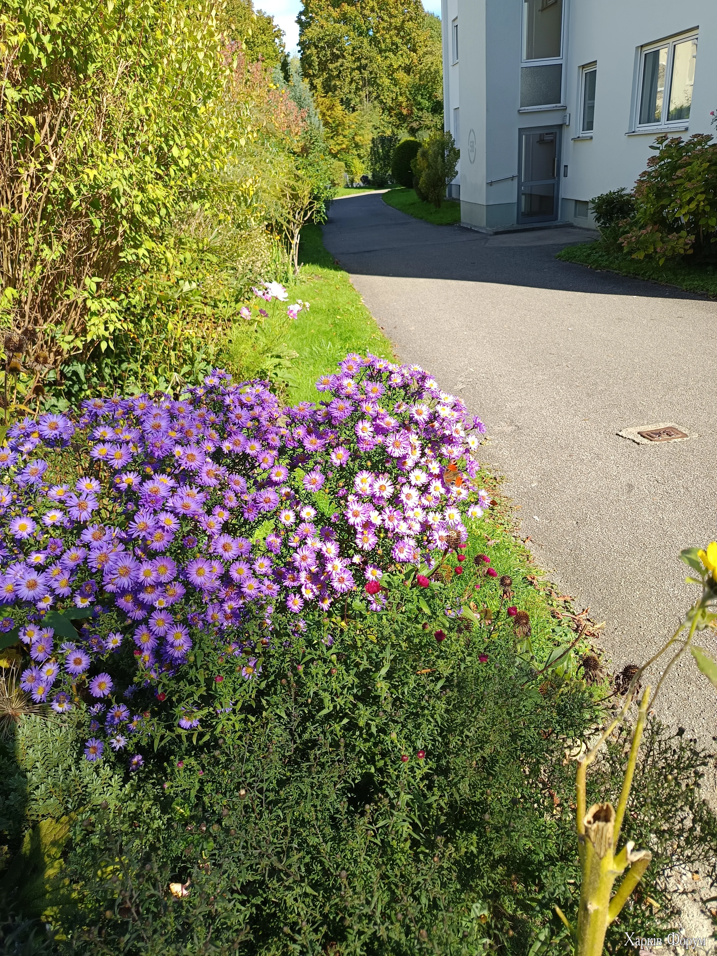 IMG_20251004_125655.webp