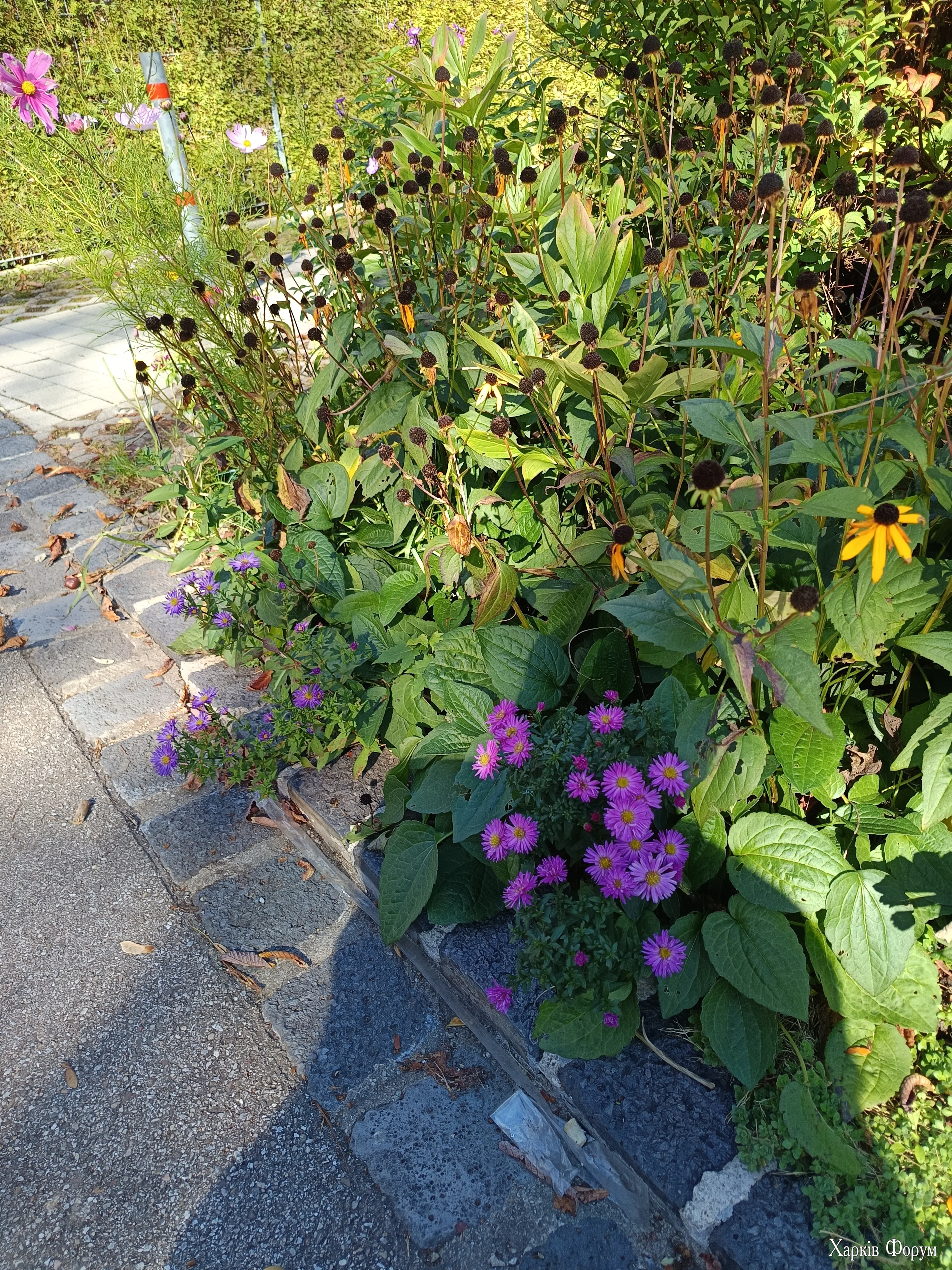 IMG_20251004_125712.webp