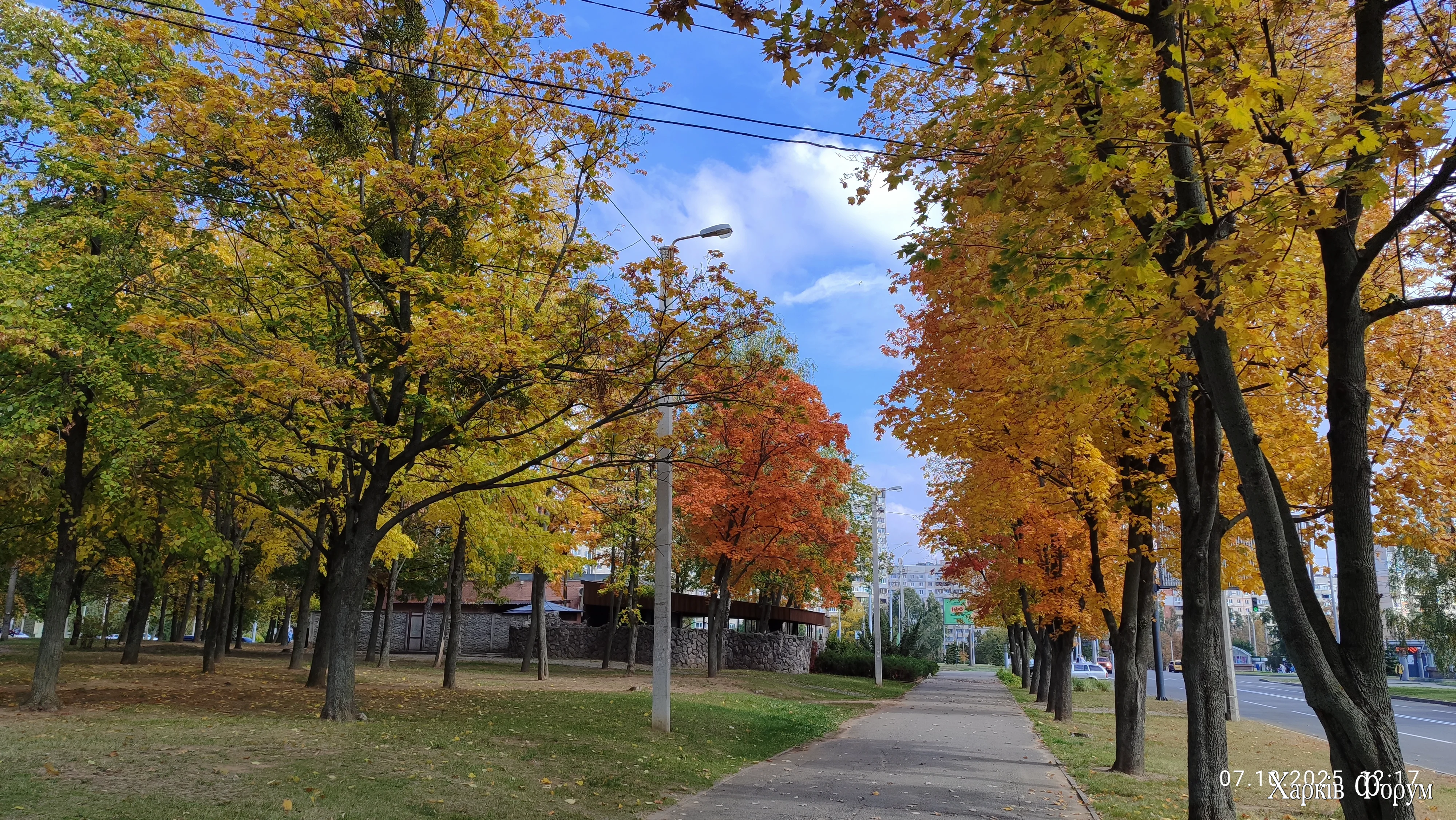 IMG_20251007_121713.webp