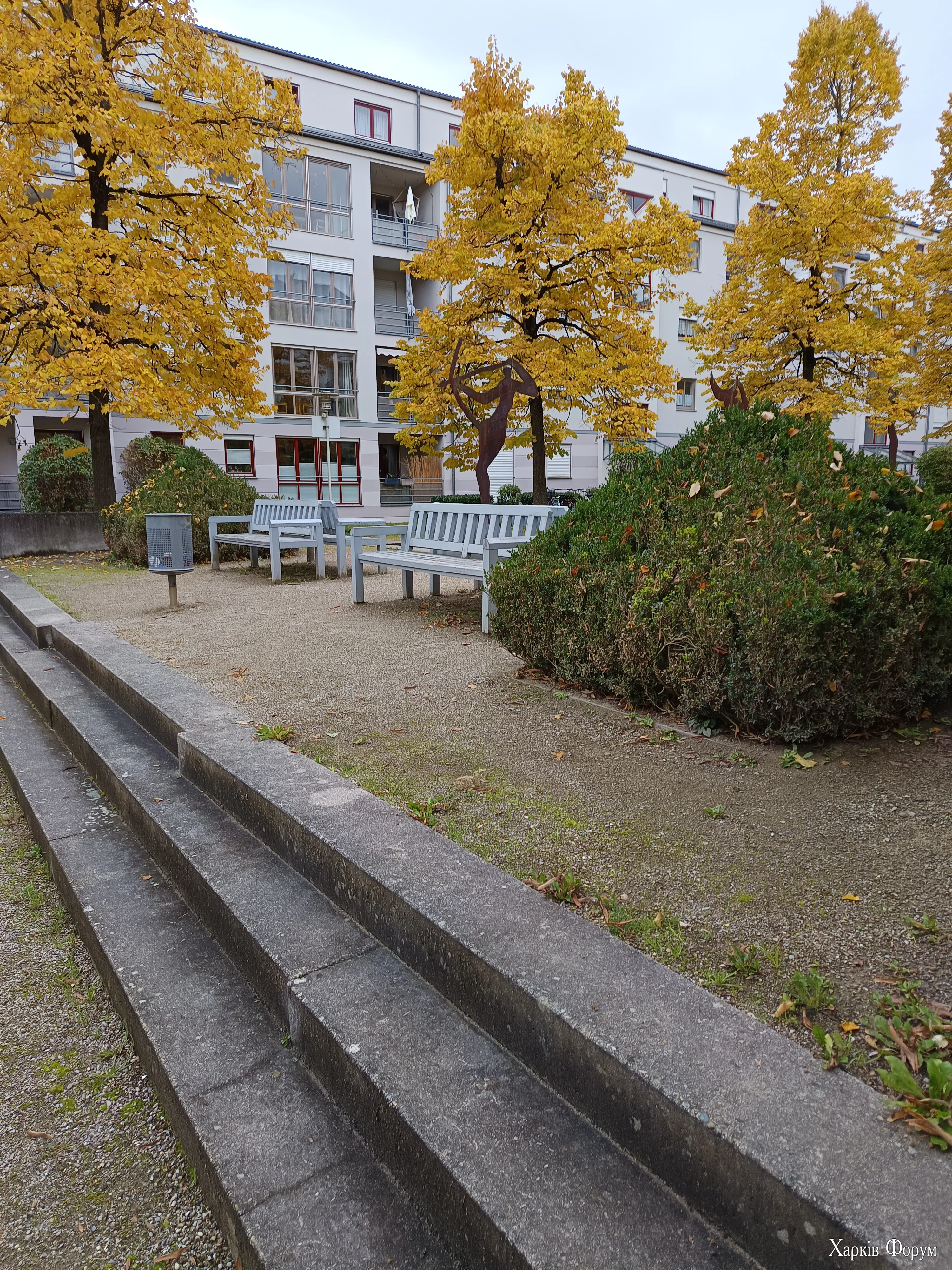 IMG_20251009_161812.webp