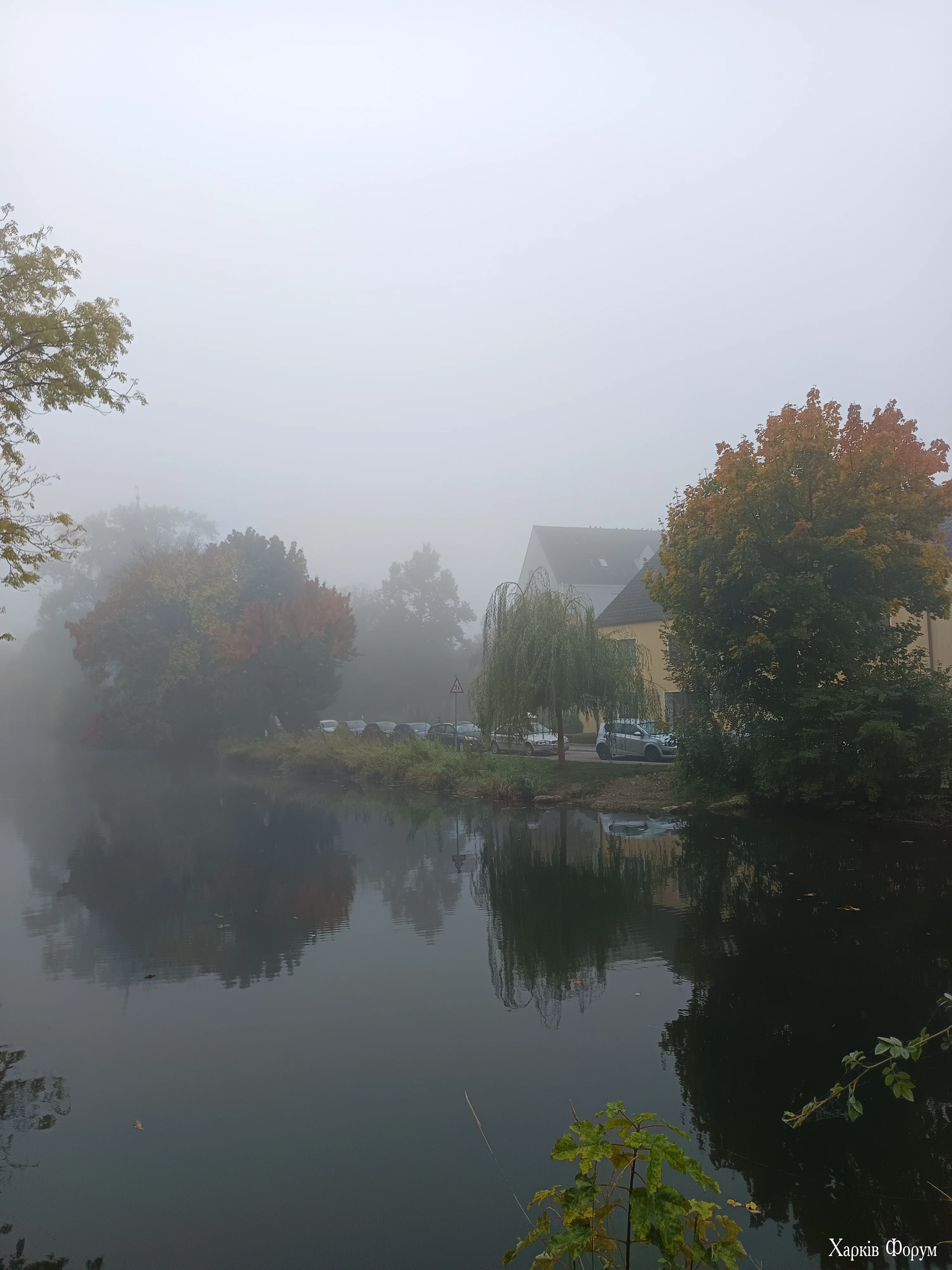 IMG_20251014_090349.webp
