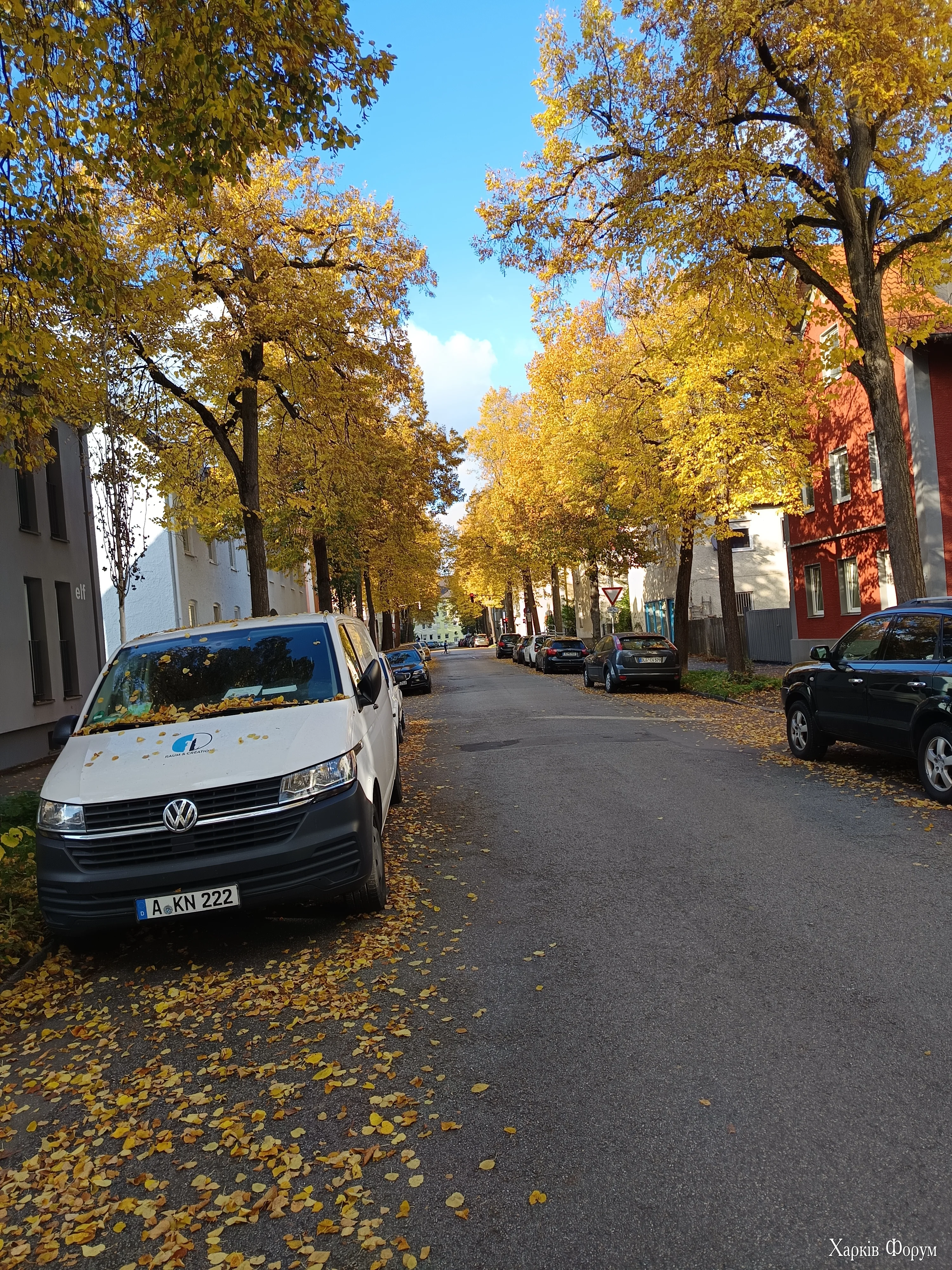 IMG_20251014_161750.webp