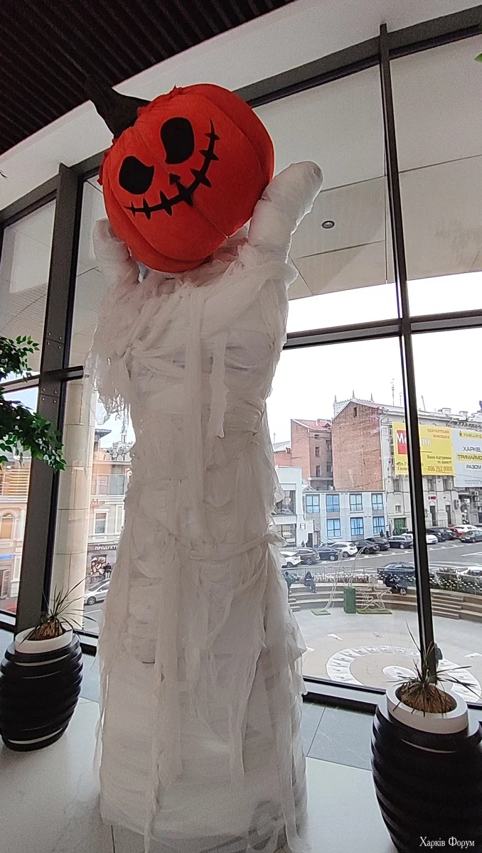 IMG_20251017_154552.webp