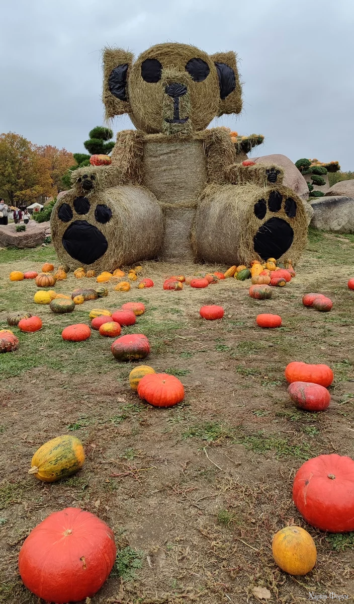 IMG_20251018_145516.webp