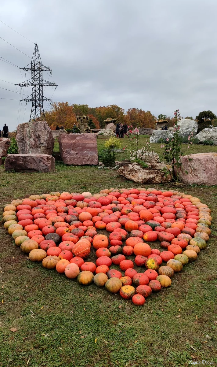 IMG_20251018_145843.webp