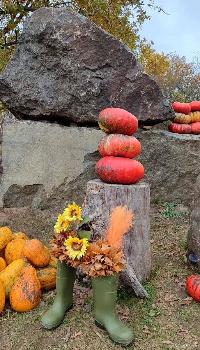 IMG_20251018_151815.webp