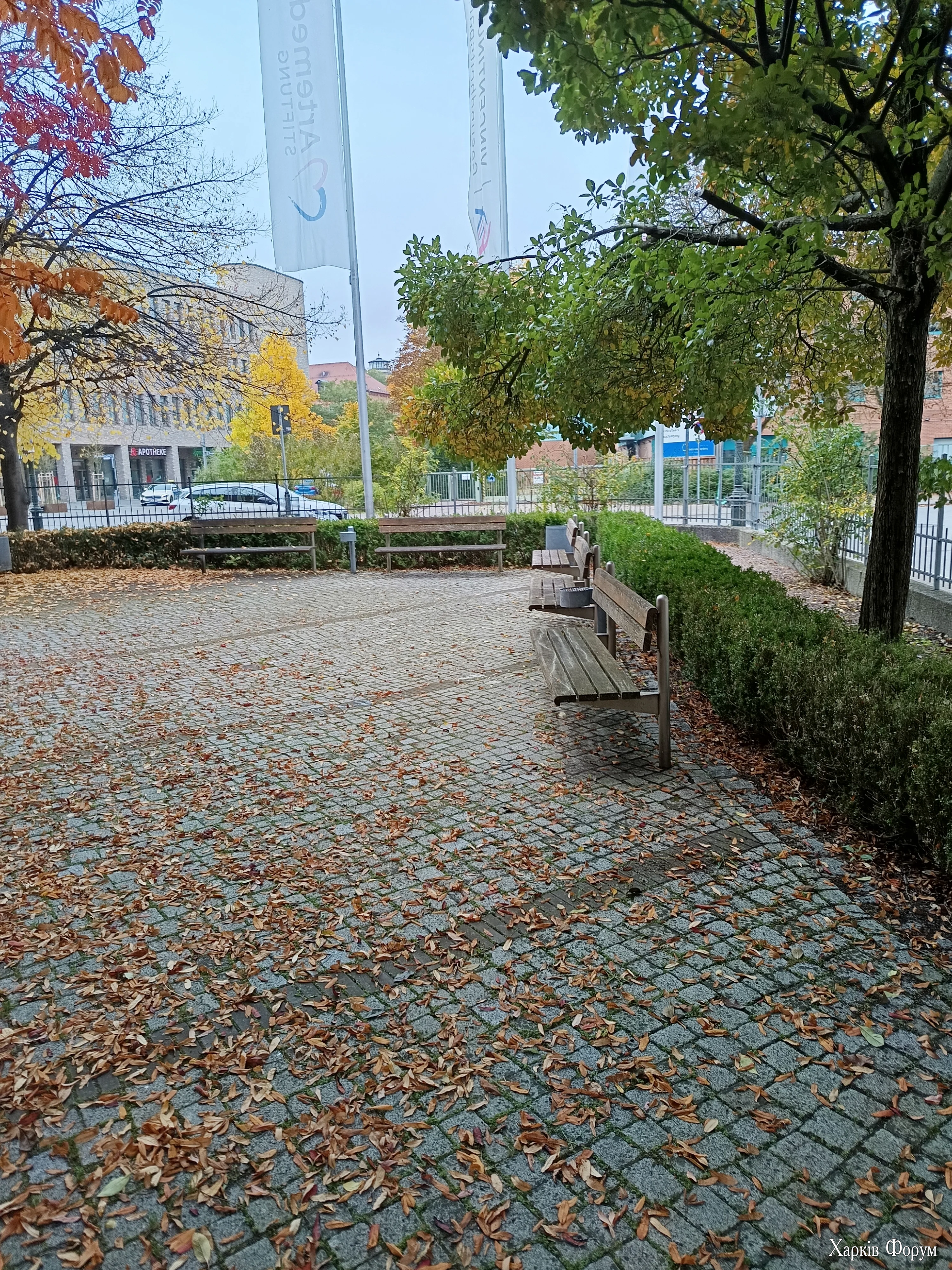 IMG_20251019_114916.webp