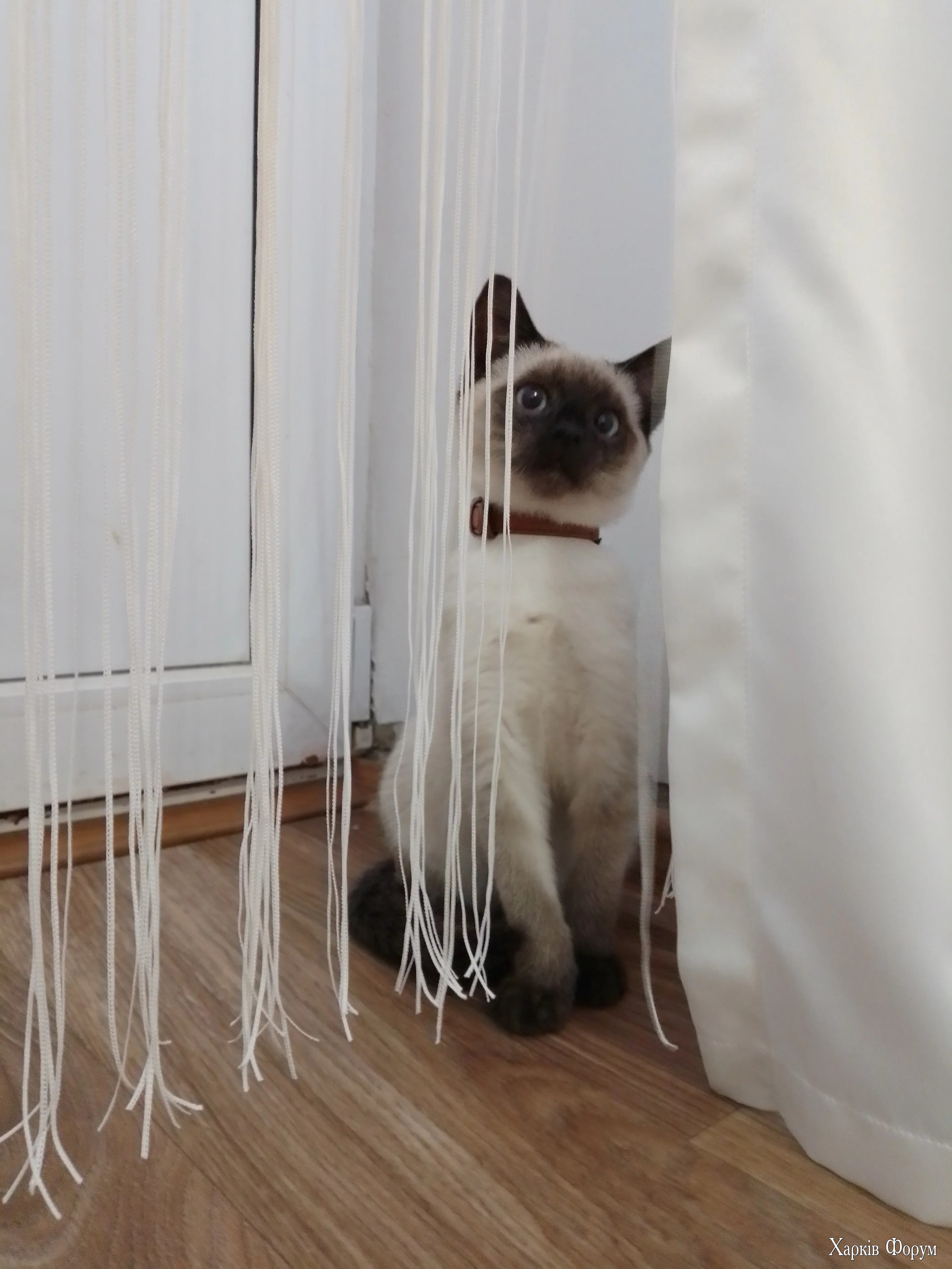 IMG_20251025_161836.webp