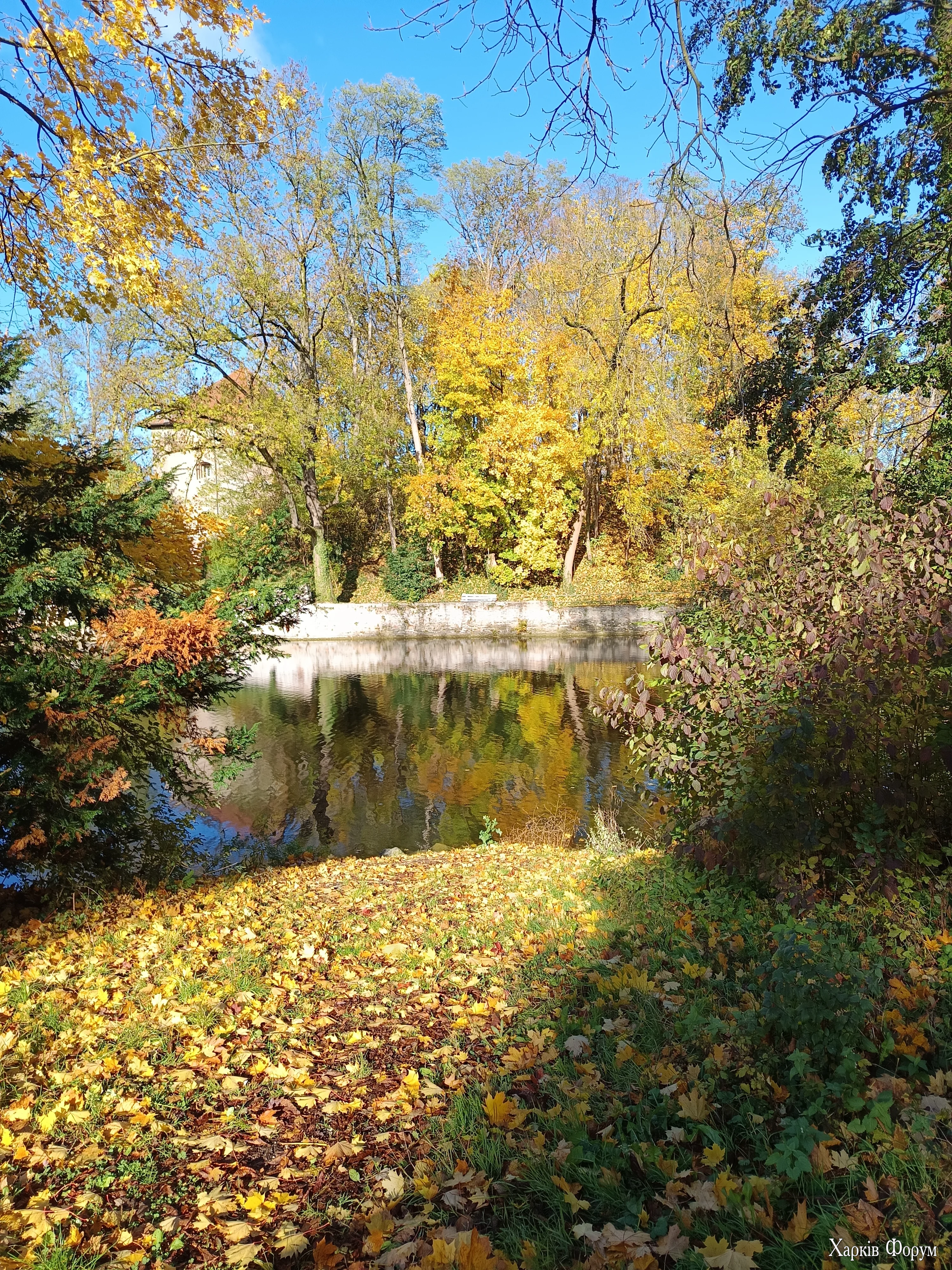 IMG_20251026_095705.webp