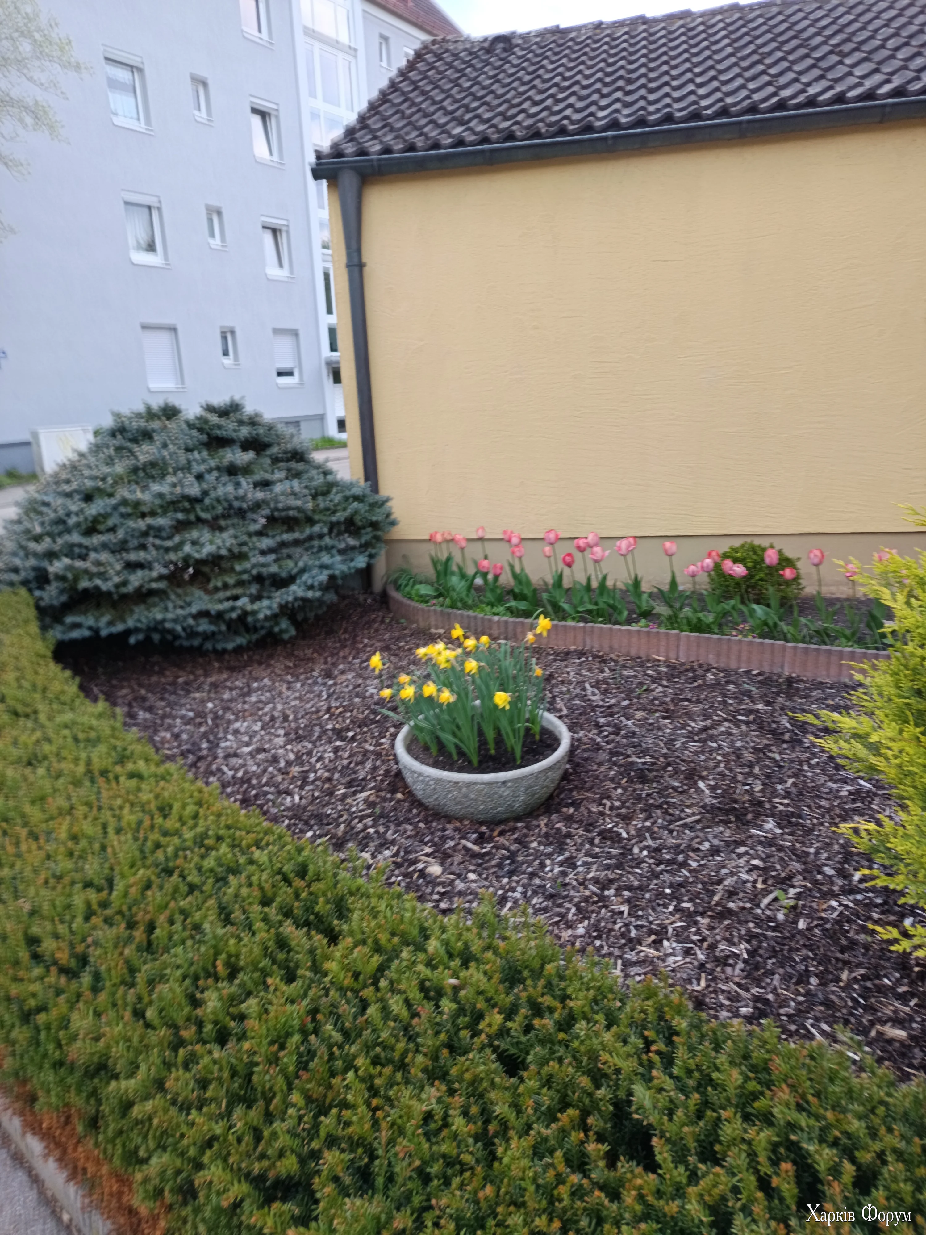 IMG_20260418_183028.webp