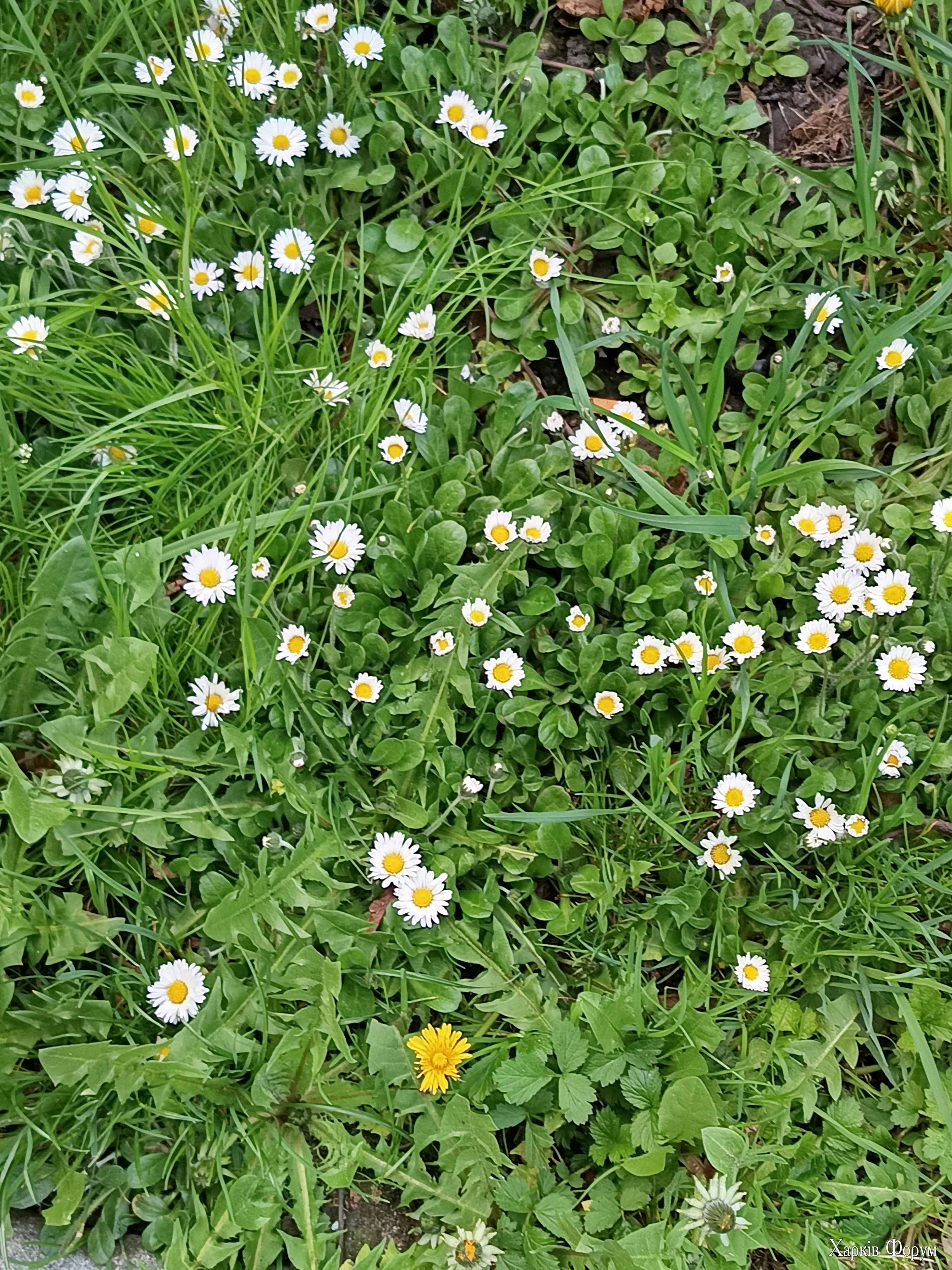 IMG_20260418_183828.webp