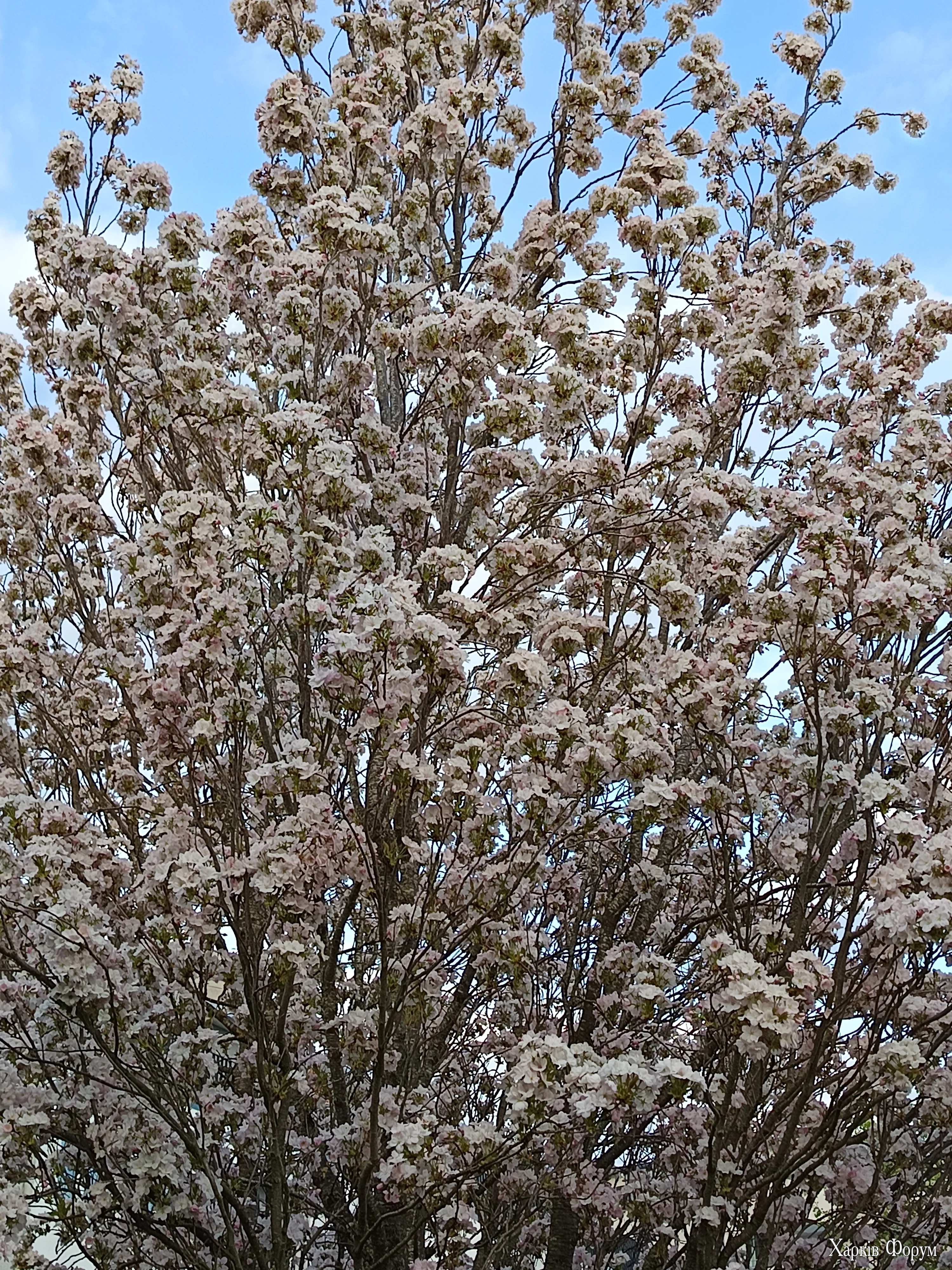 IMG_20260418_184401.webp