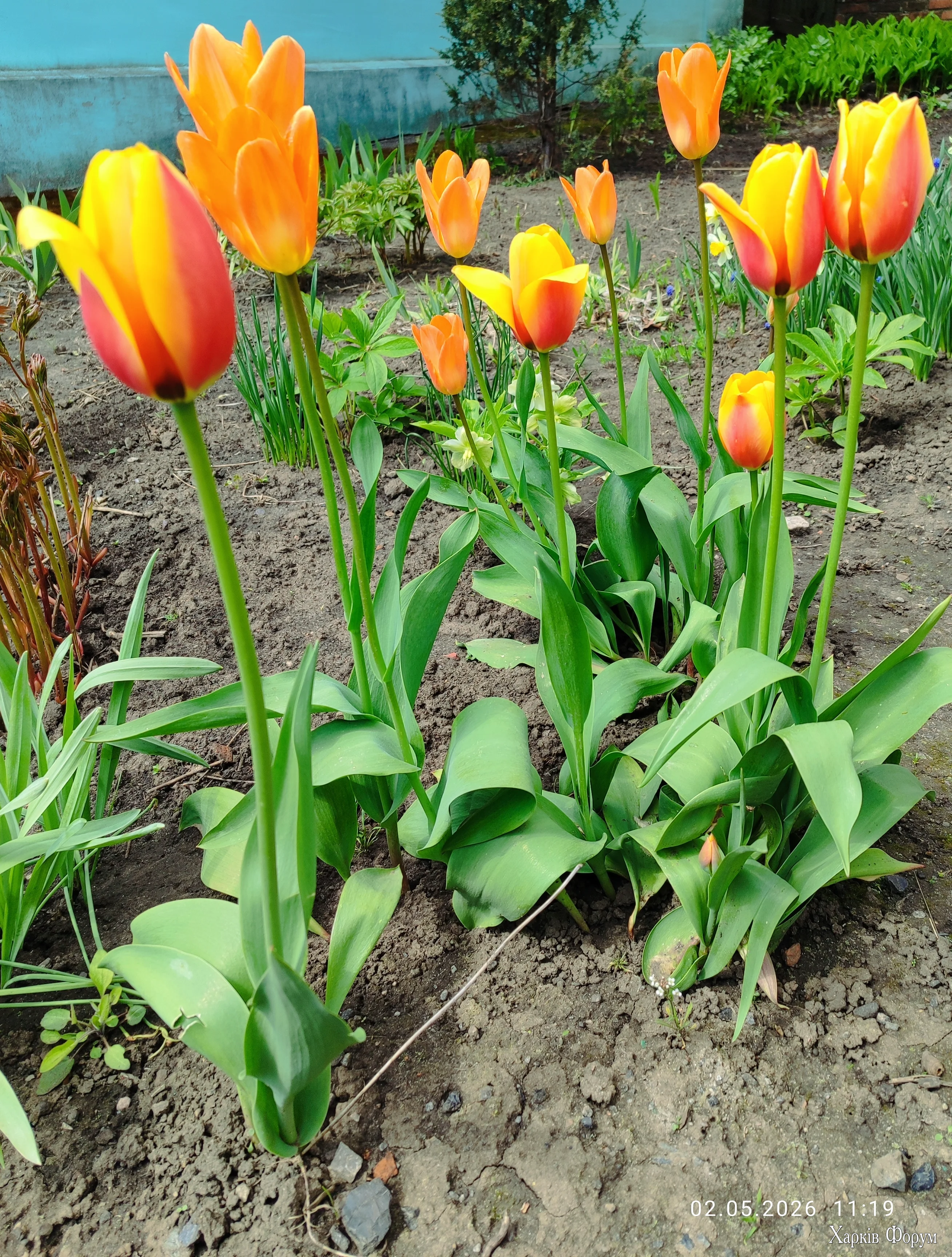IMG_20260502_112006.webp