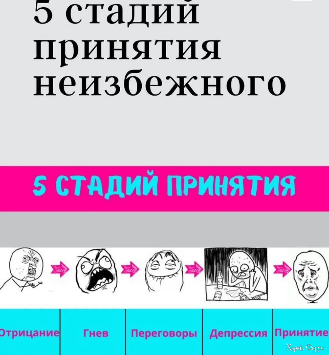 IMG_20260511_092406.webp
