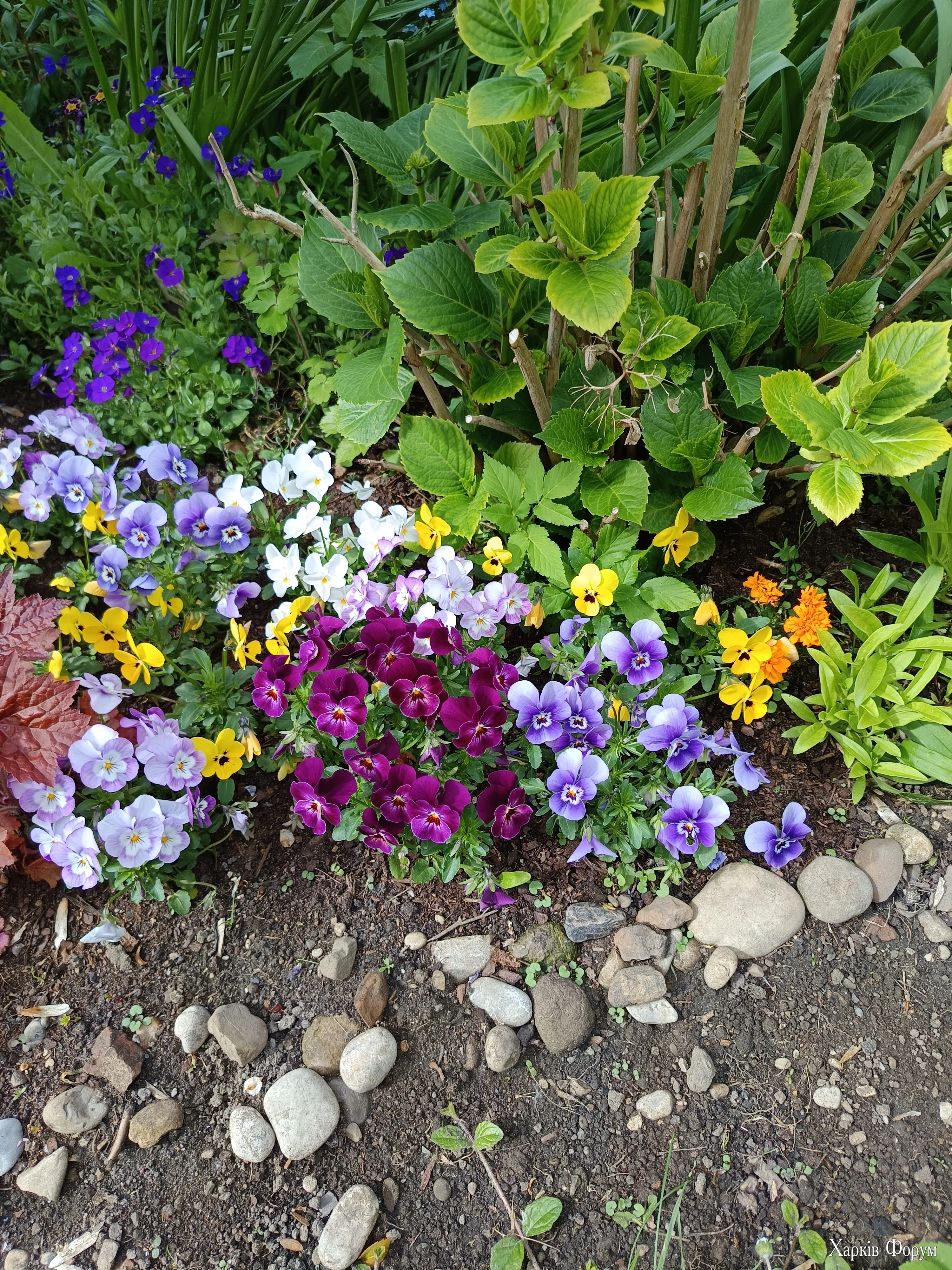 IMG_20260517_161012.webp