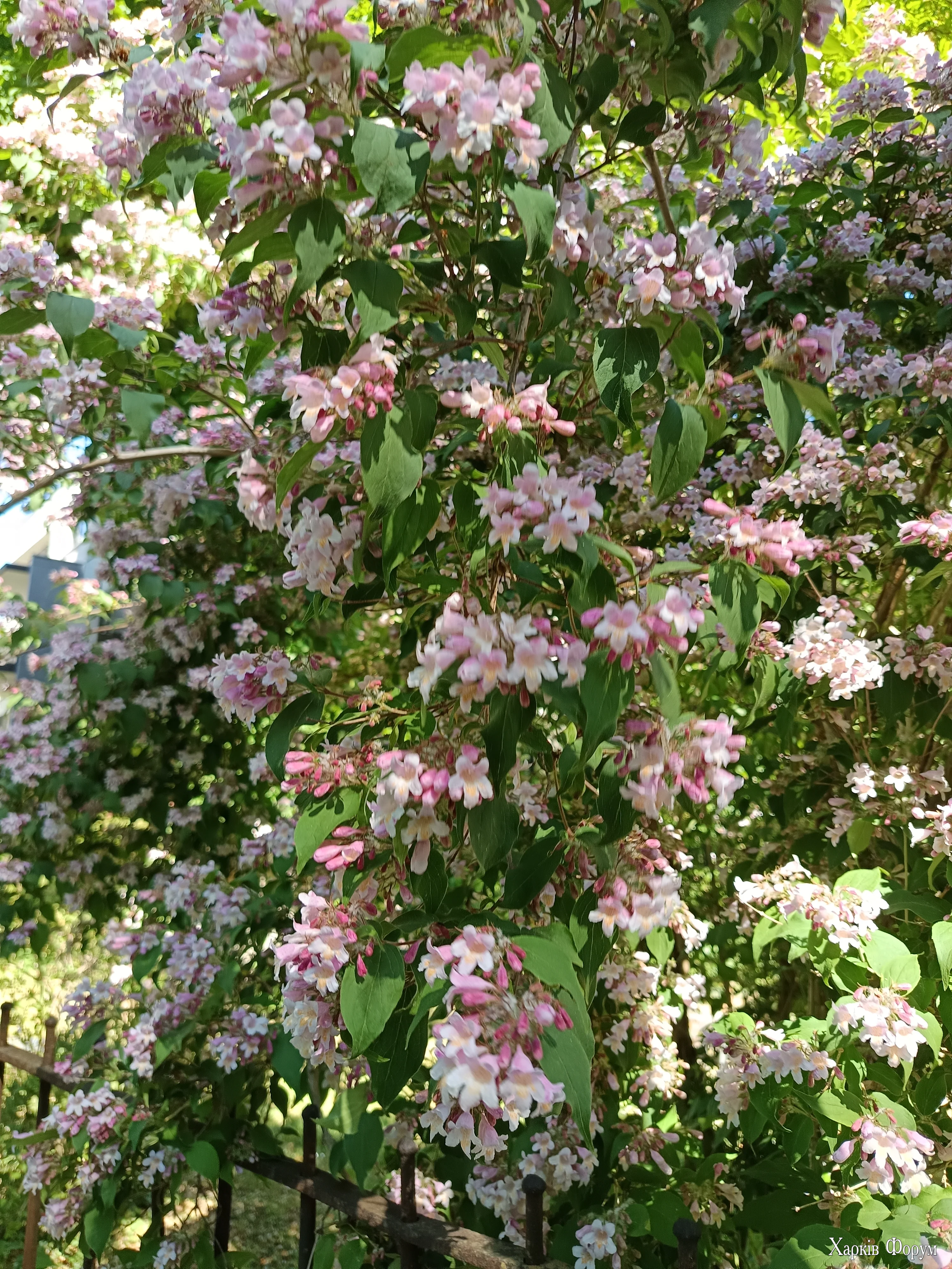 IMG_20260522_101707.webp
