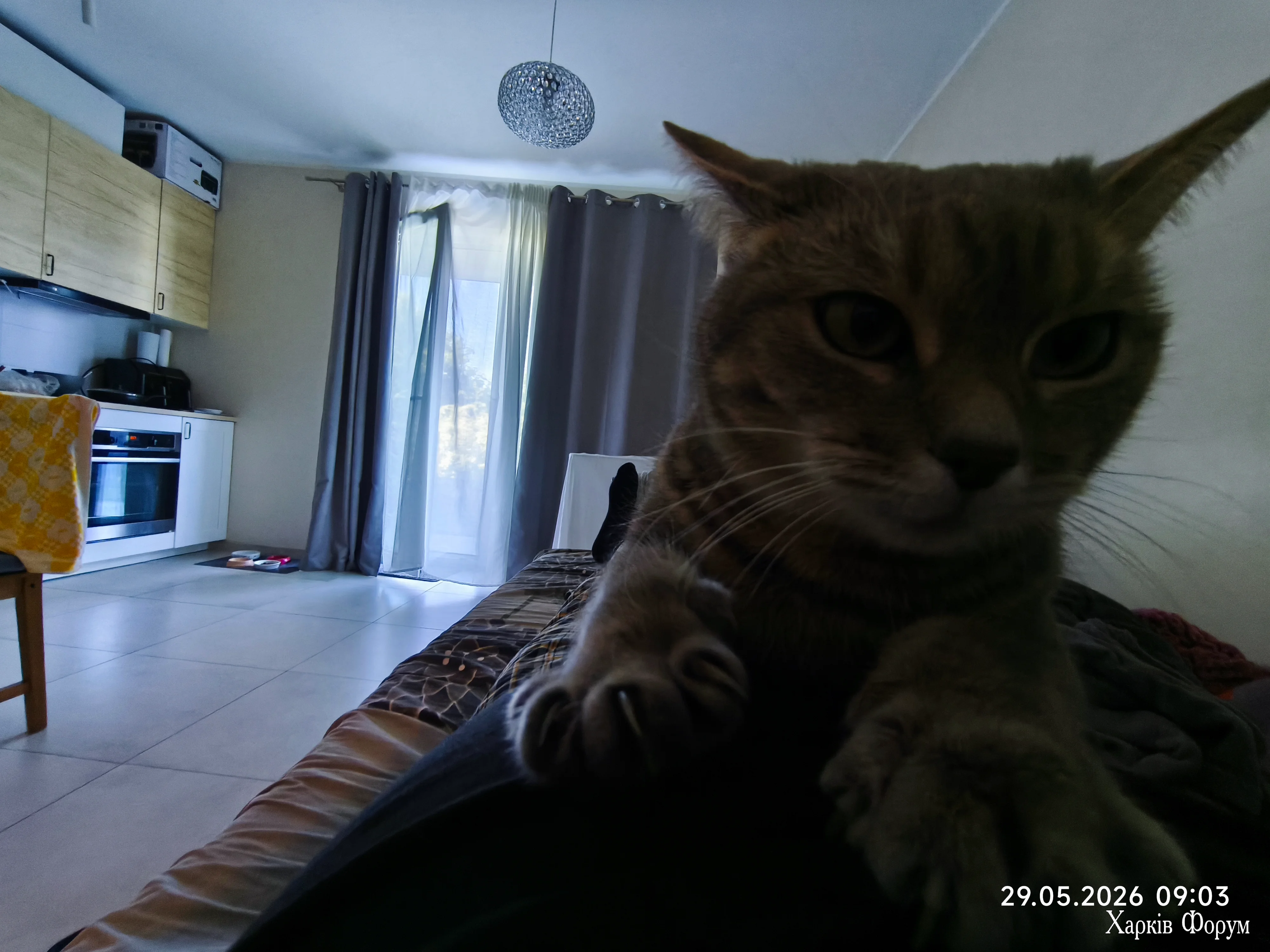 IMG_20260529_090331.webp
