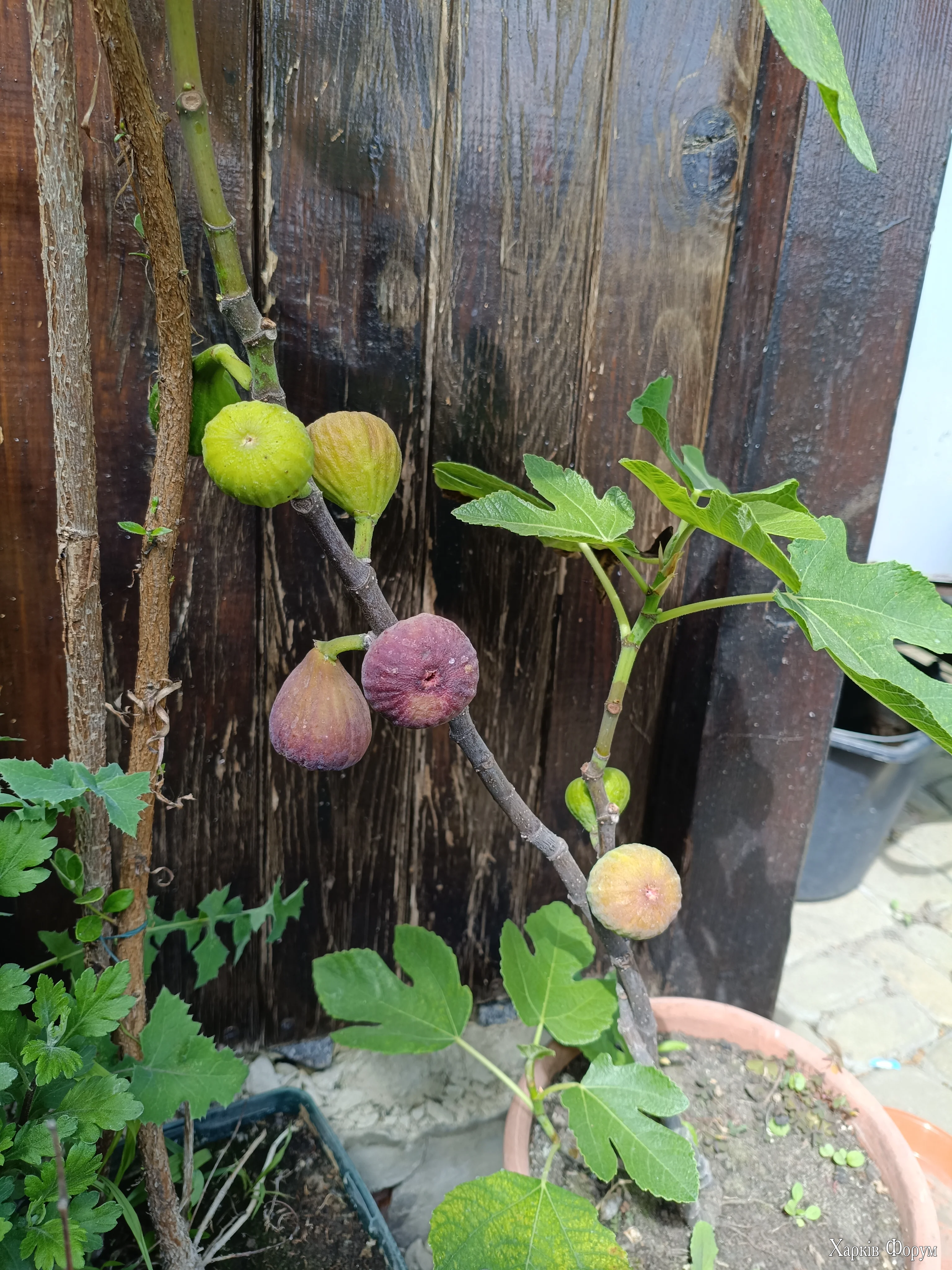 IMG_20260530_144501.webp