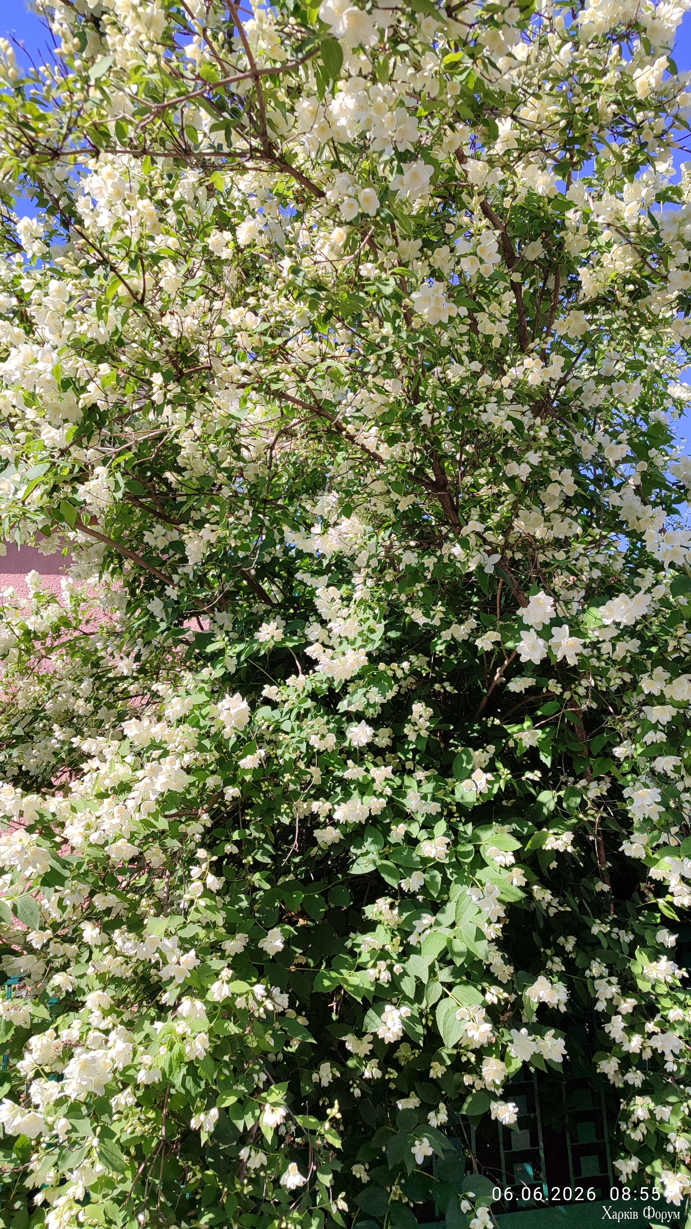 IMG_20260606_085540.webp