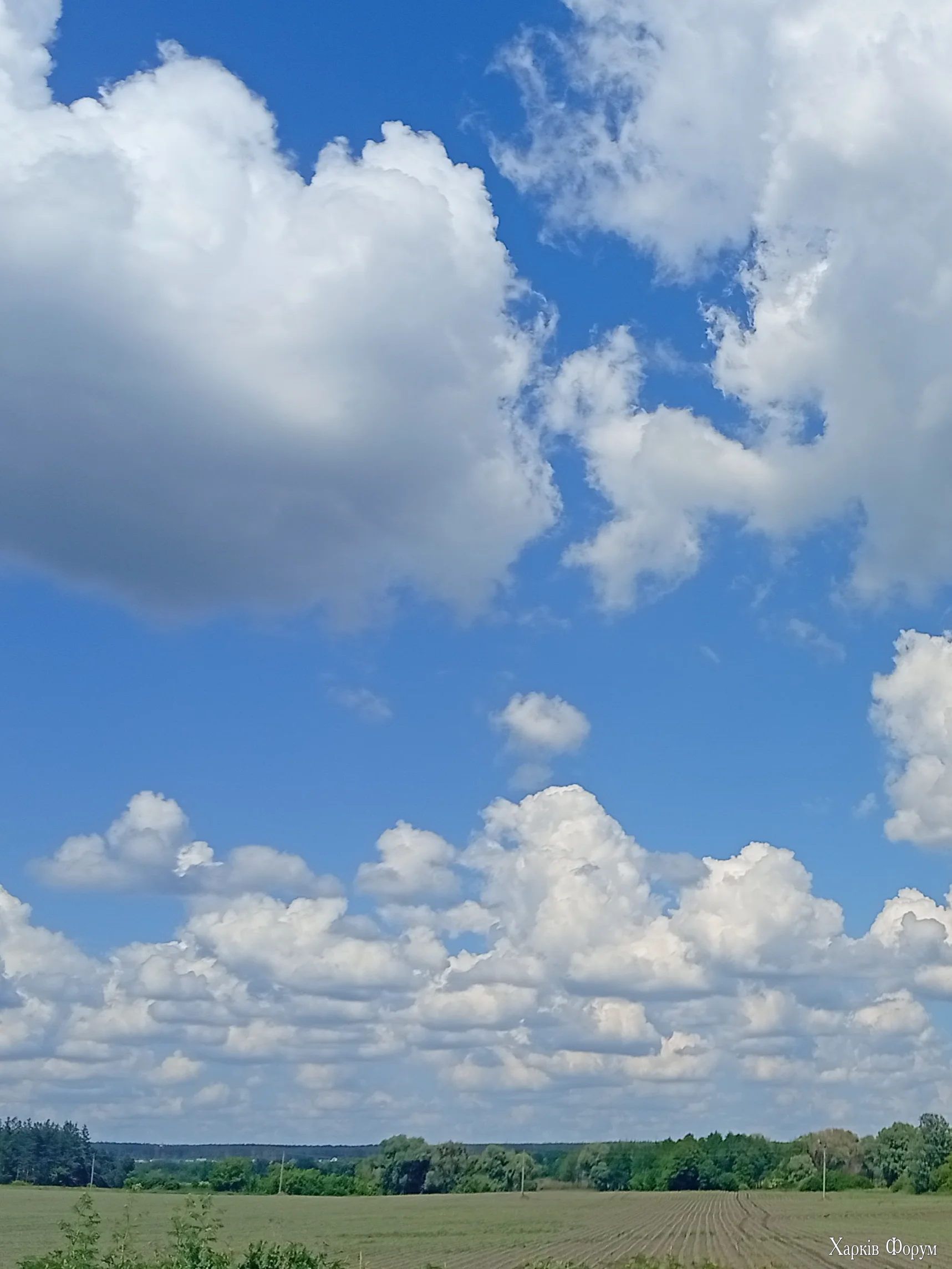 IMG_20260610_203532.webp