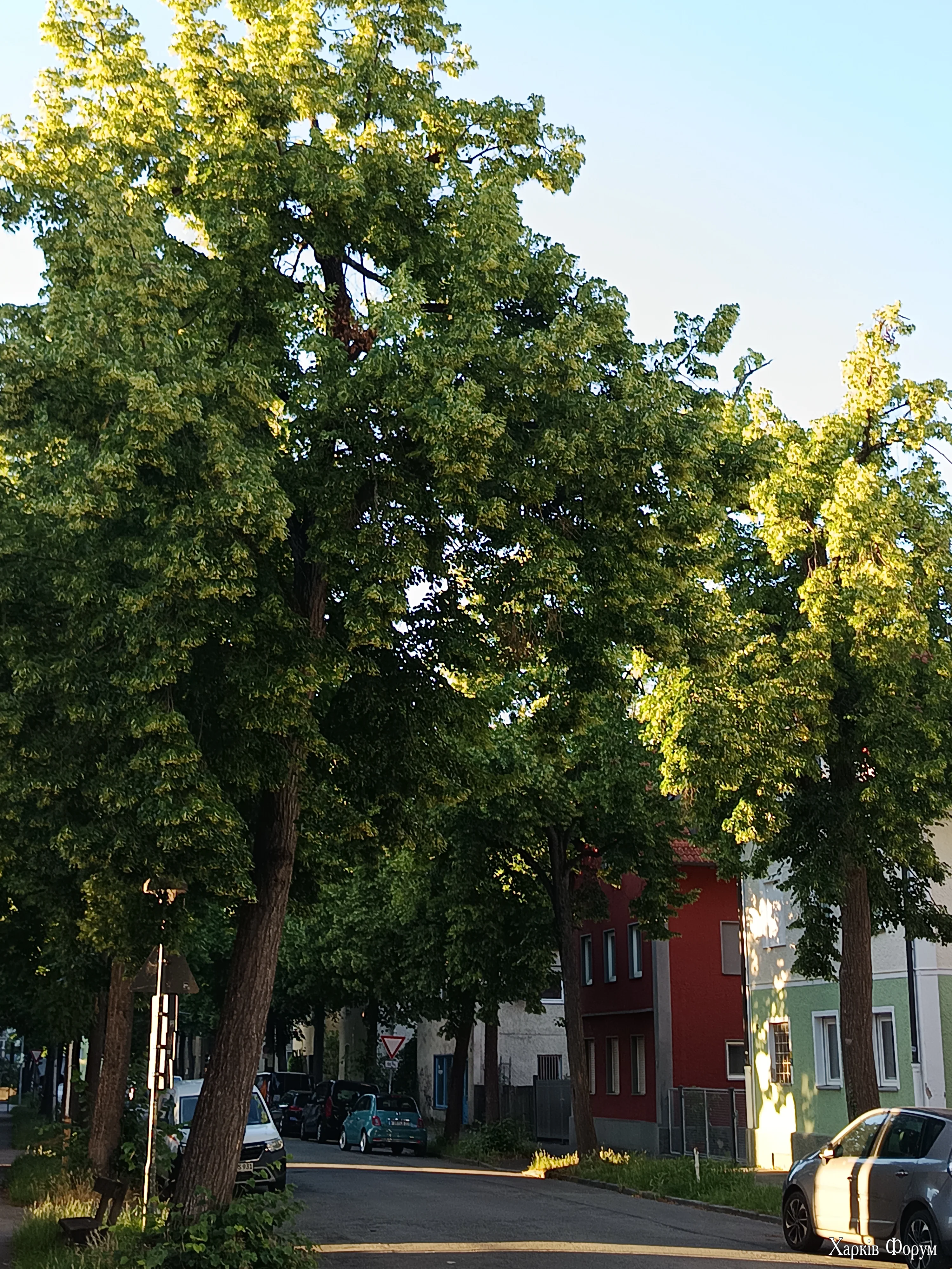 IMG_20260618_200220.webp