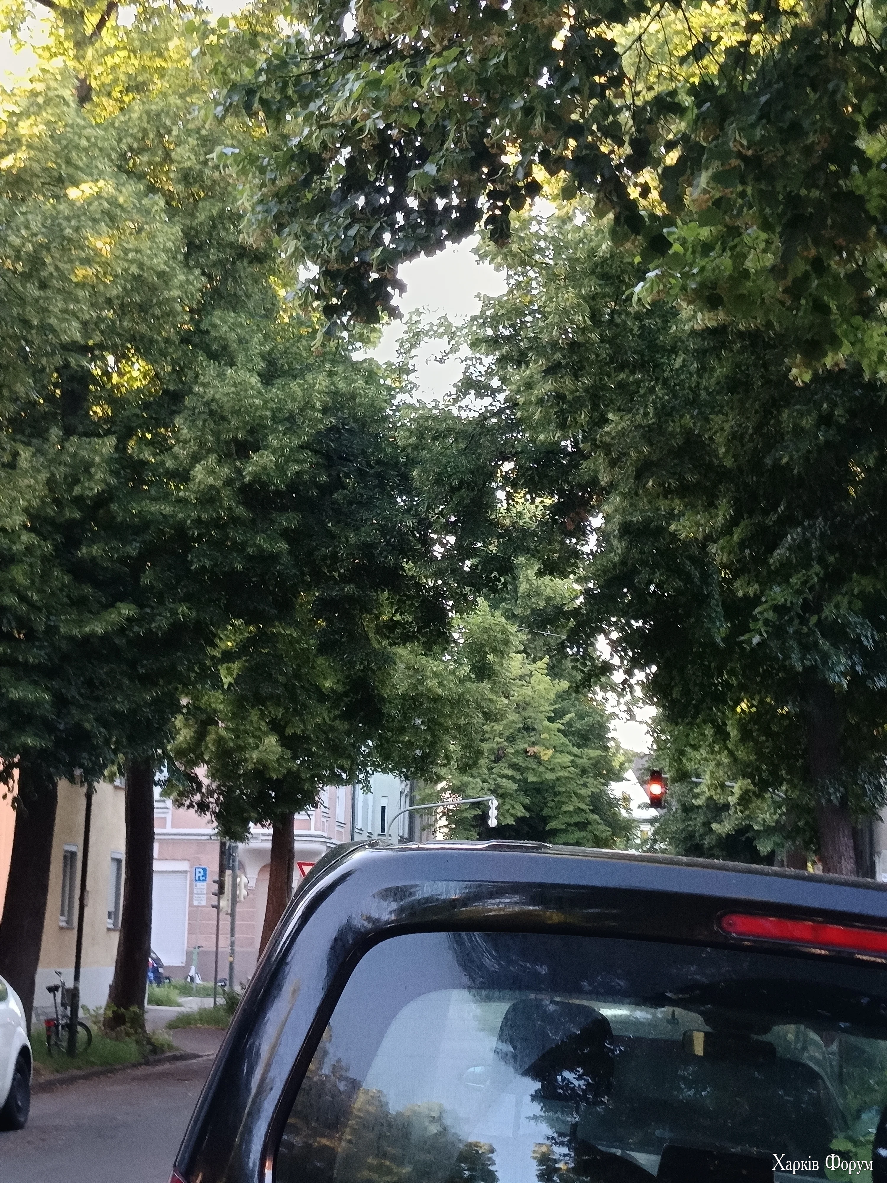 IMG_20260618_200345.webp