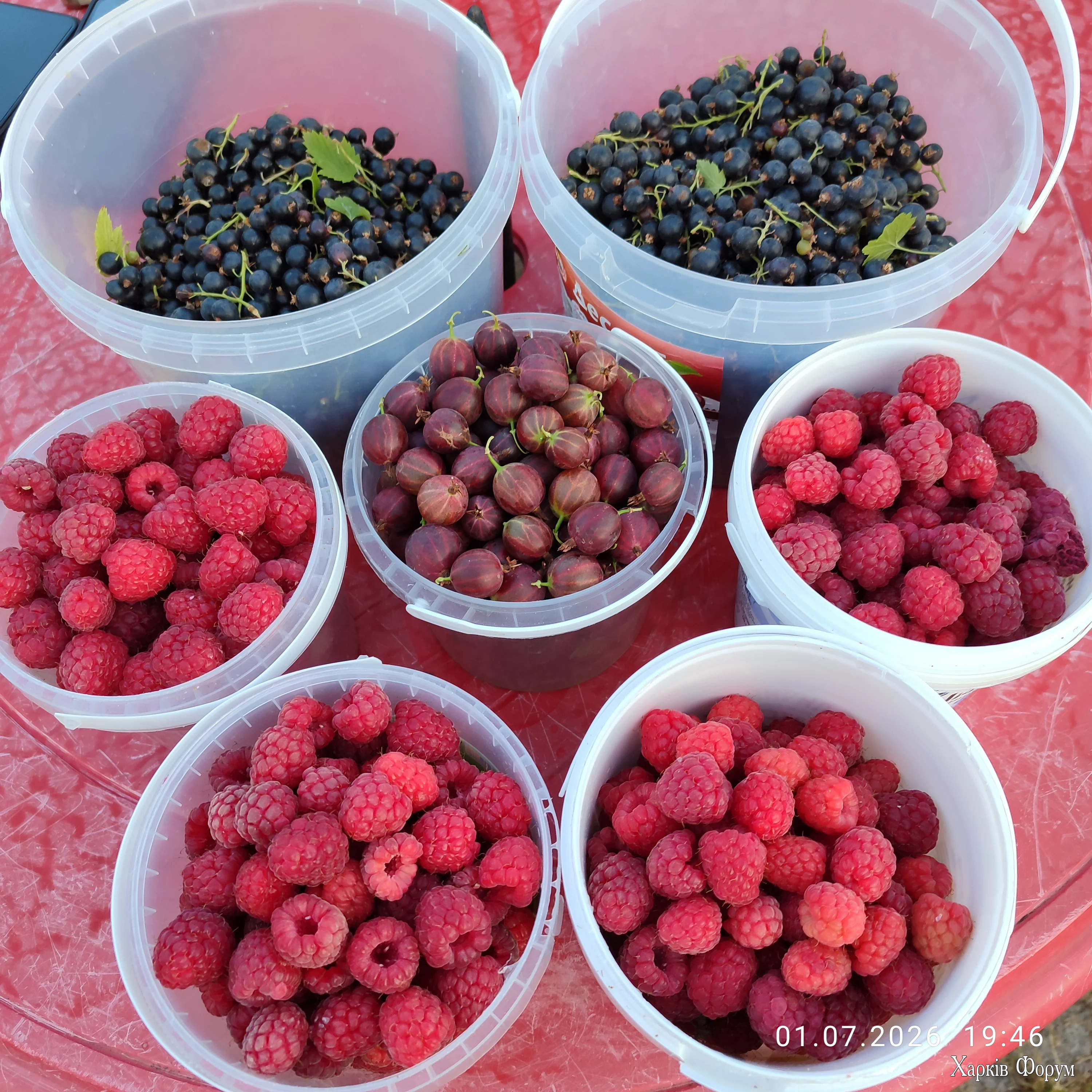 IMG_20260701_194642.webp