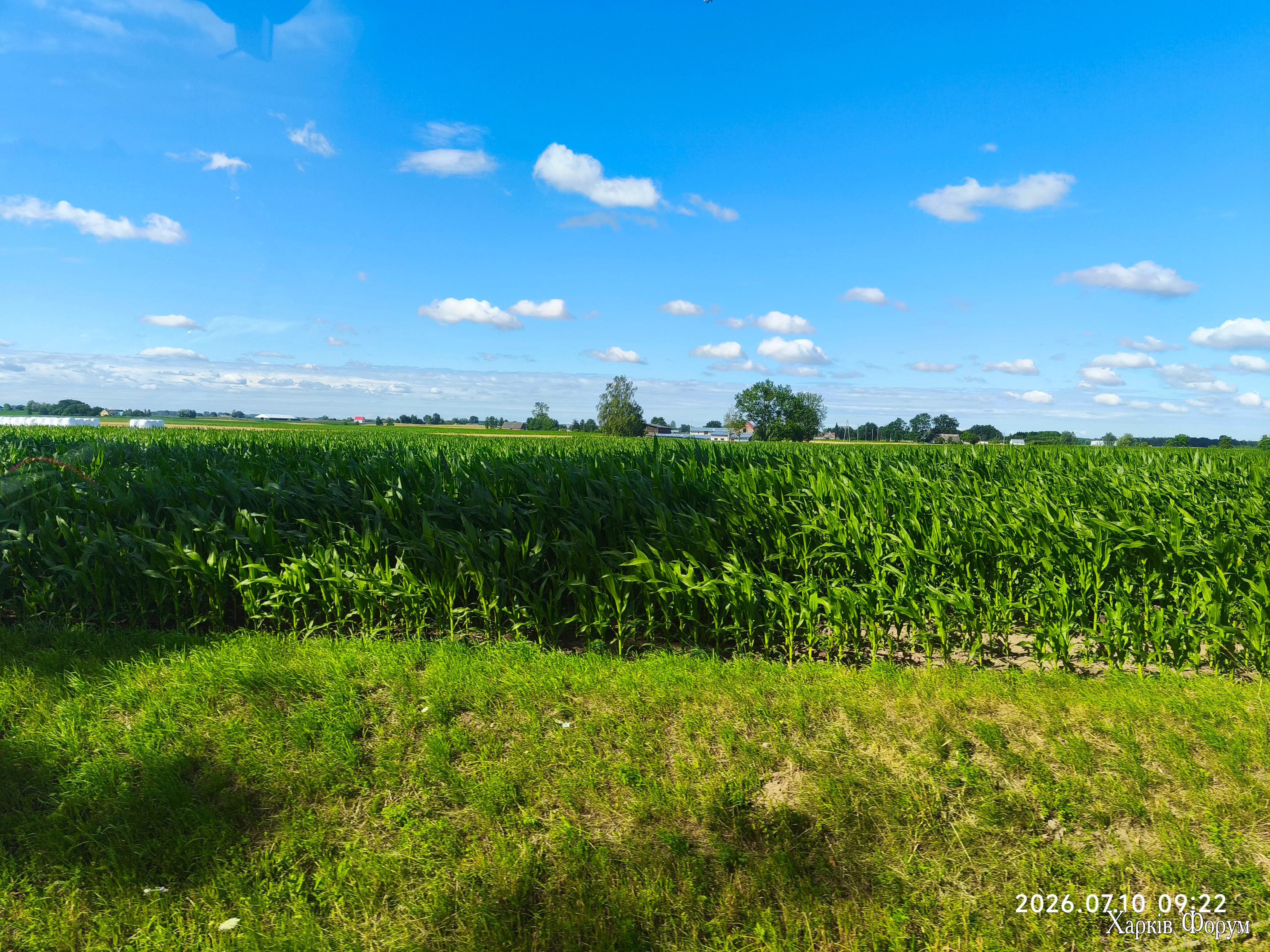 IMG_20260710_092220.webp