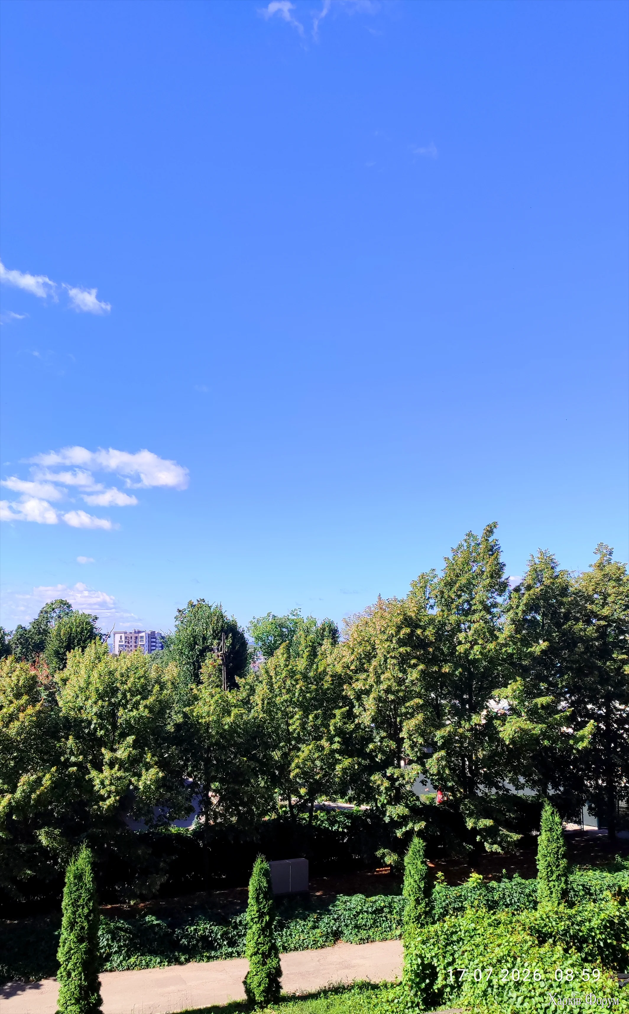 IMG_20260717_090031.webp