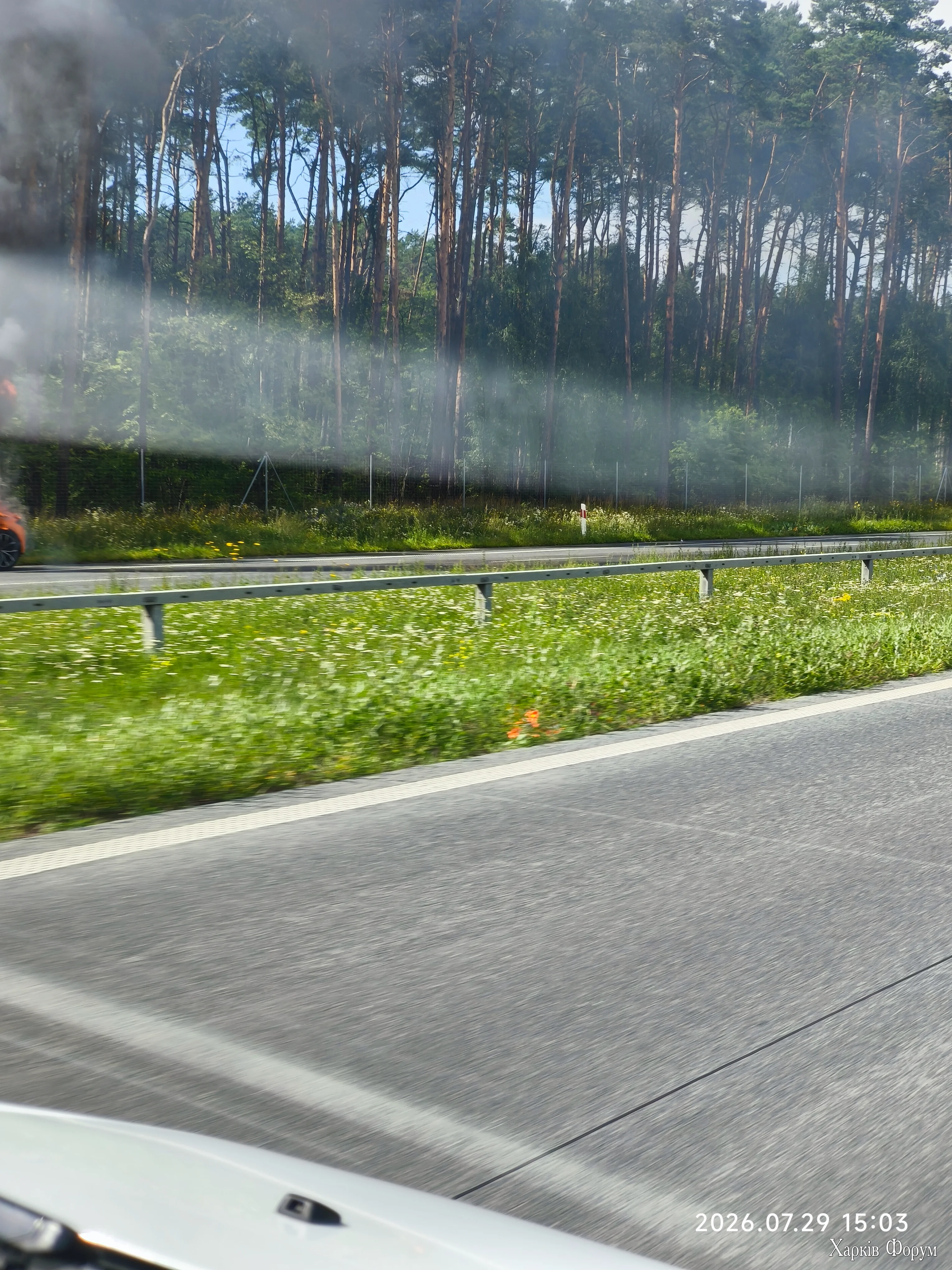 IMG_20260729_150359.webp
