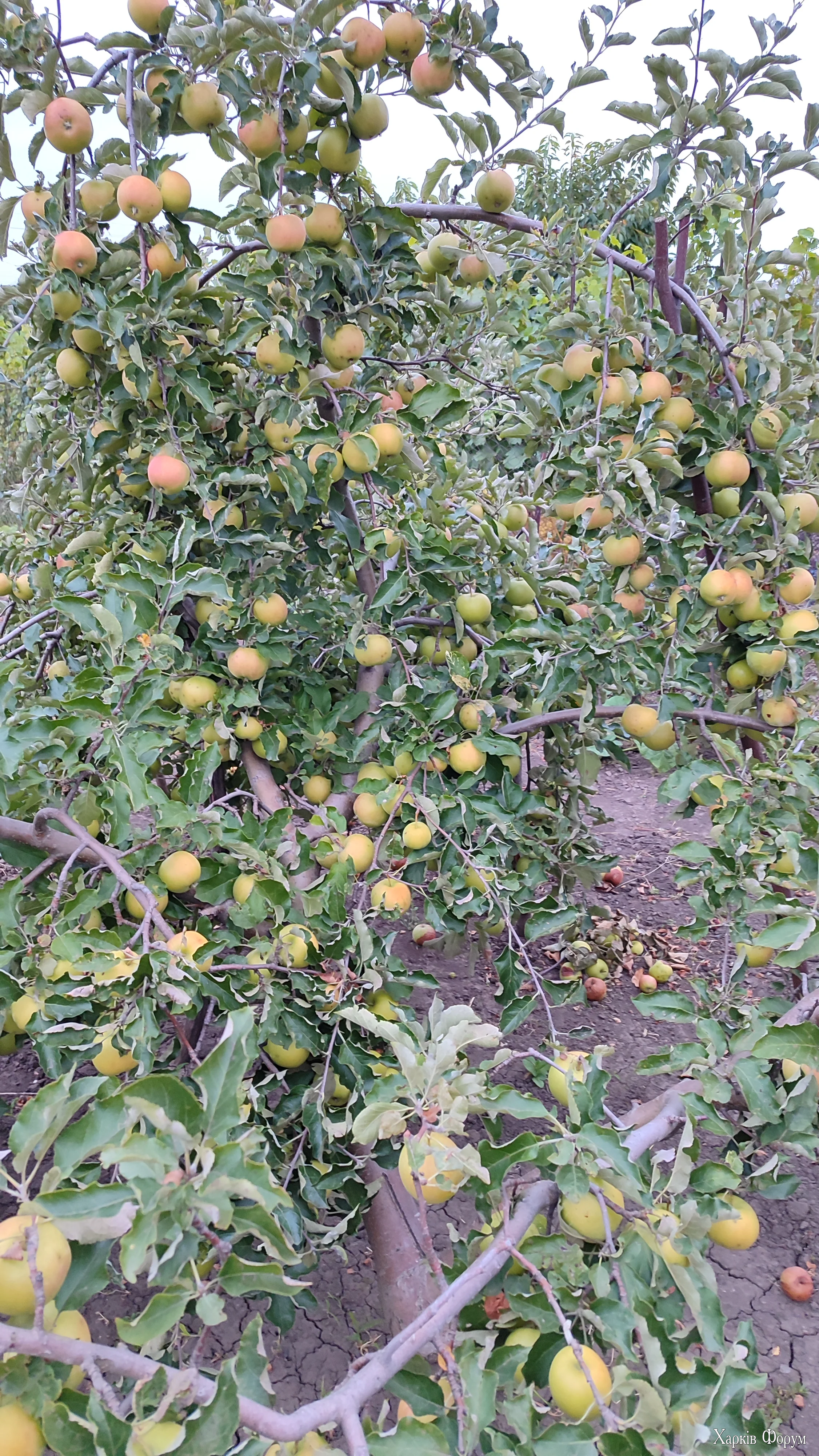 IMG_20260826_192148.webp