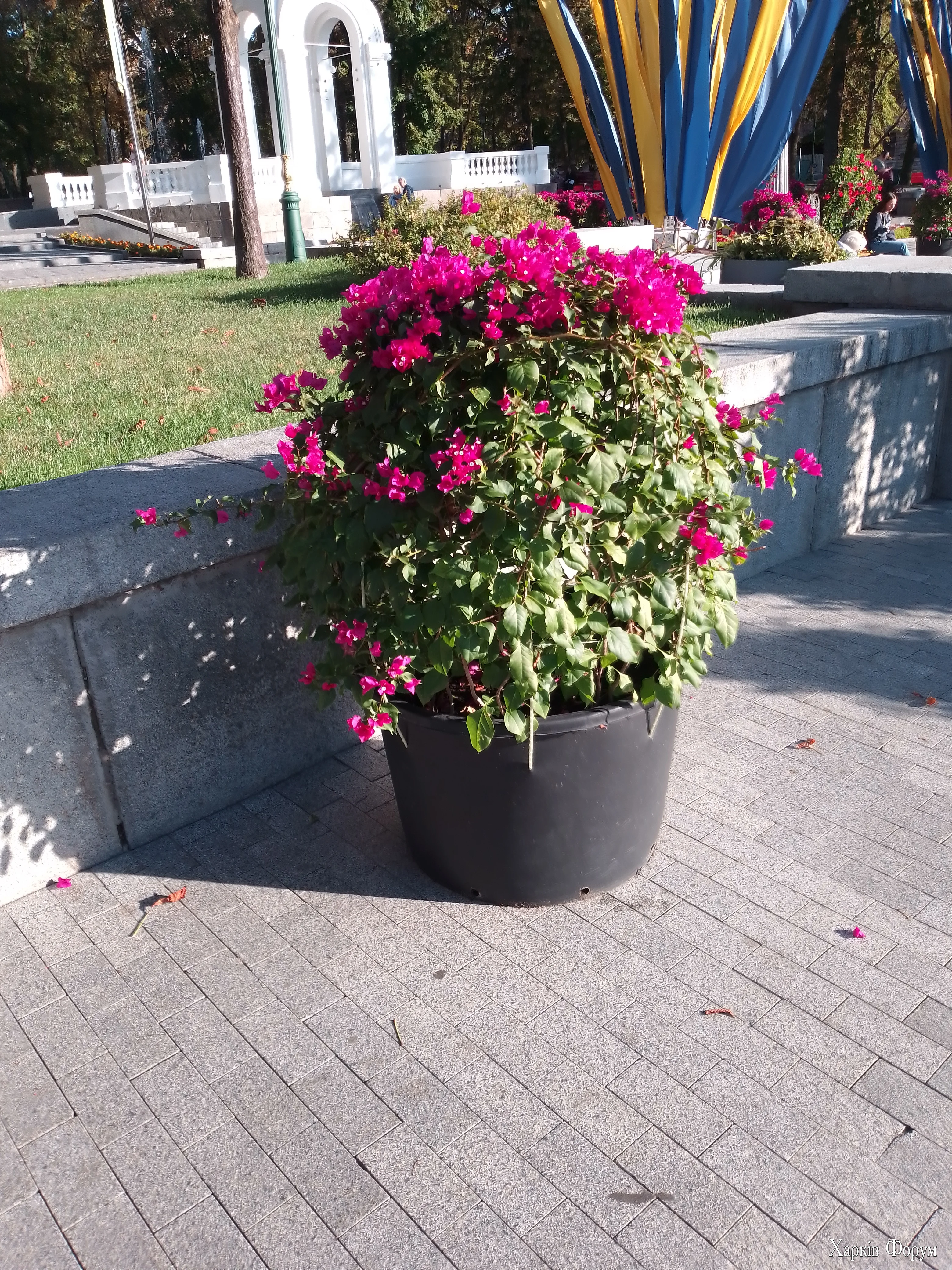 IMG_20260917_163458.webp