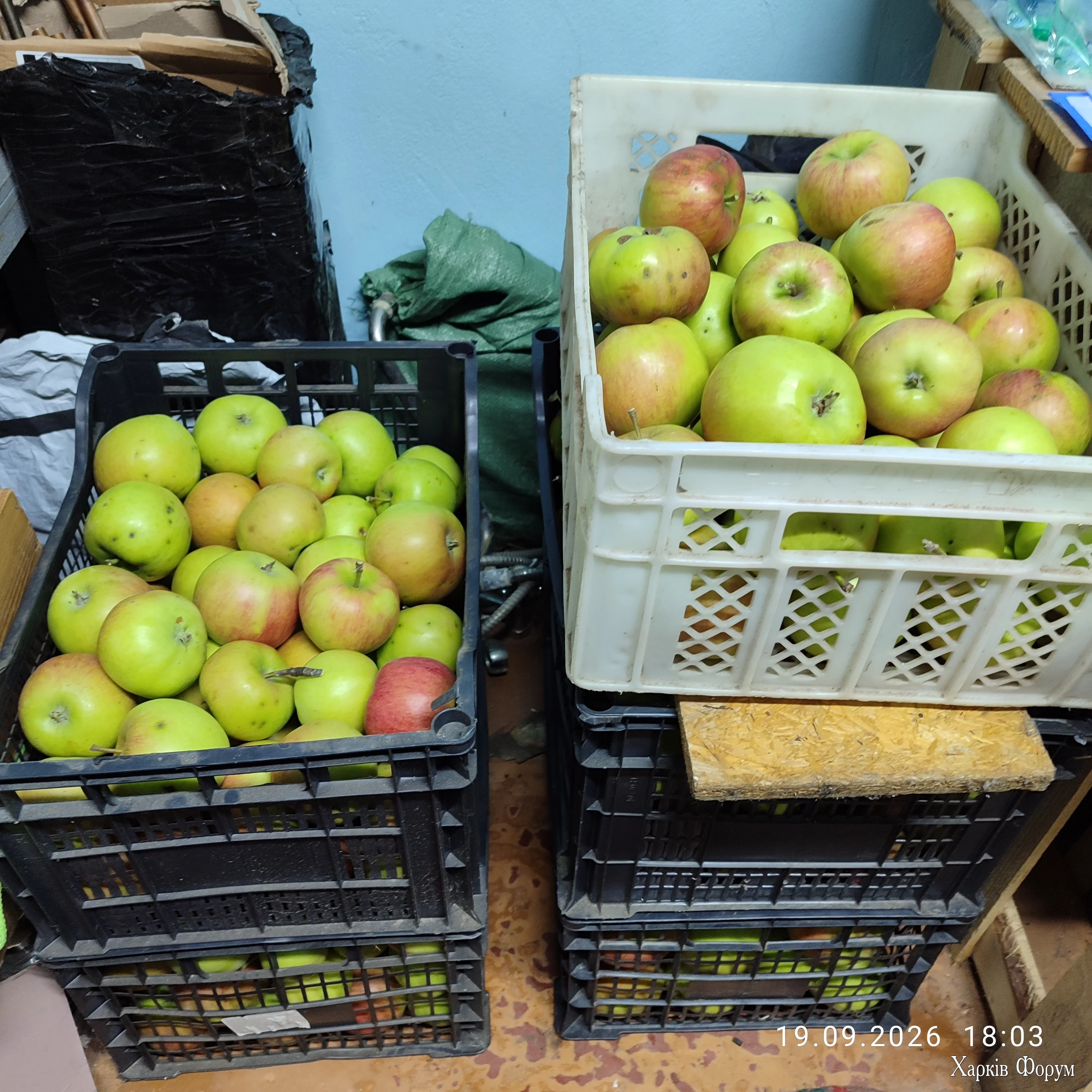 IMG_20260919_180338.webp