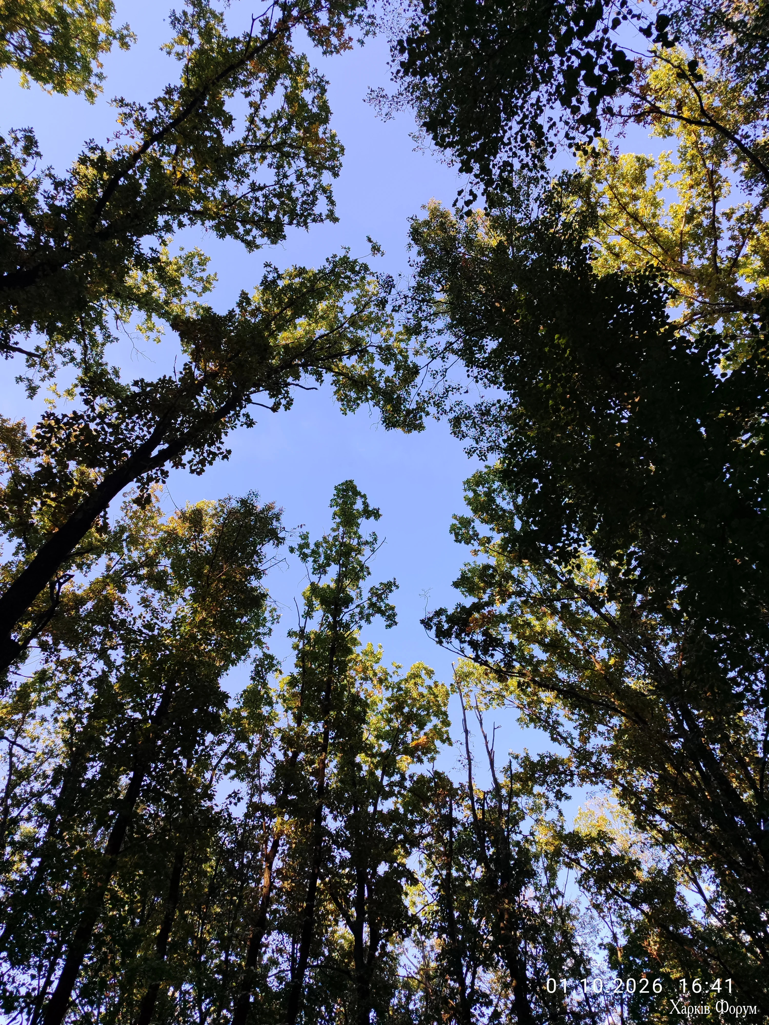IMG_20261001_164059.webp