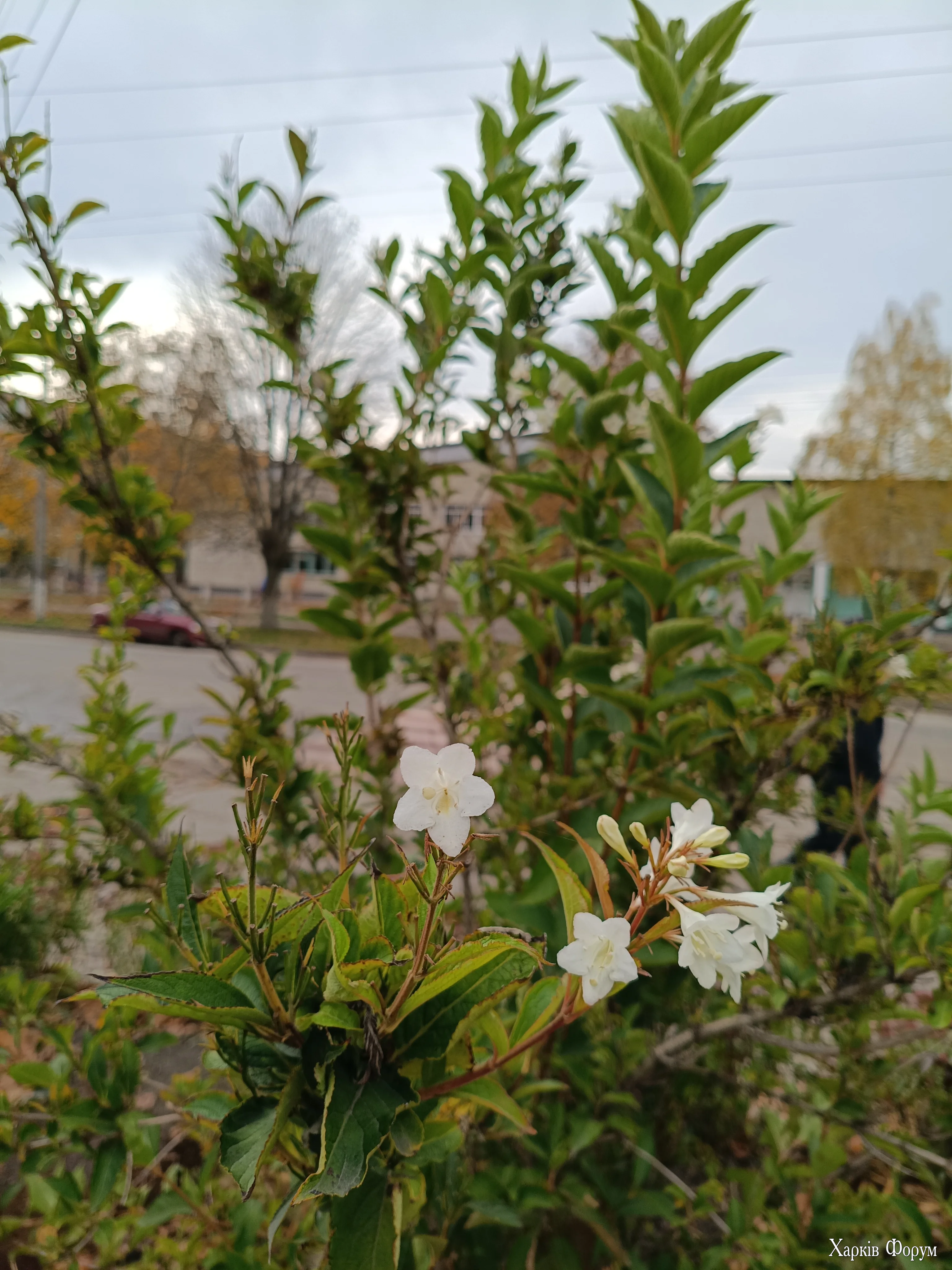 IMG_20261023_102422.webp
