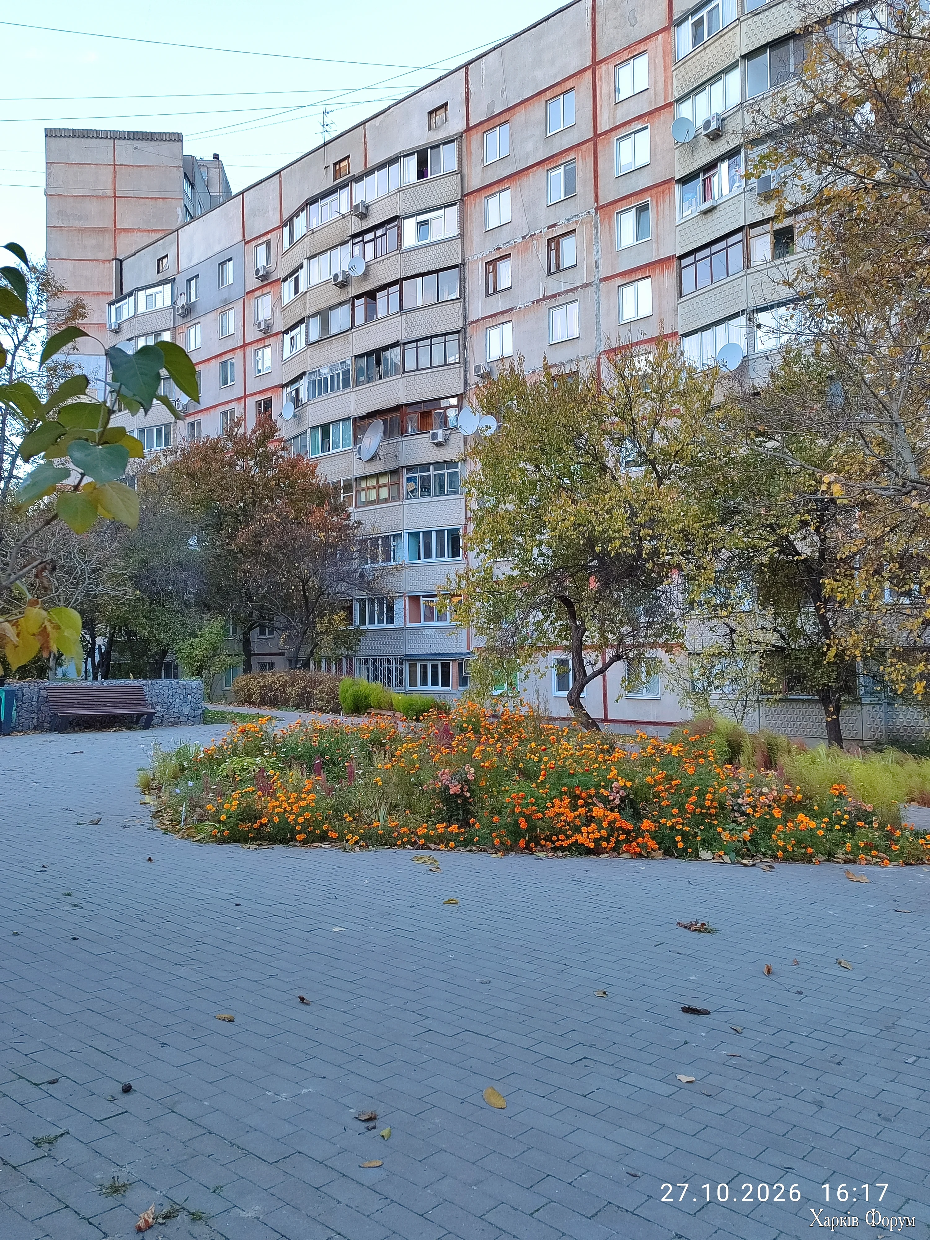IMG_20261027_161708.webp