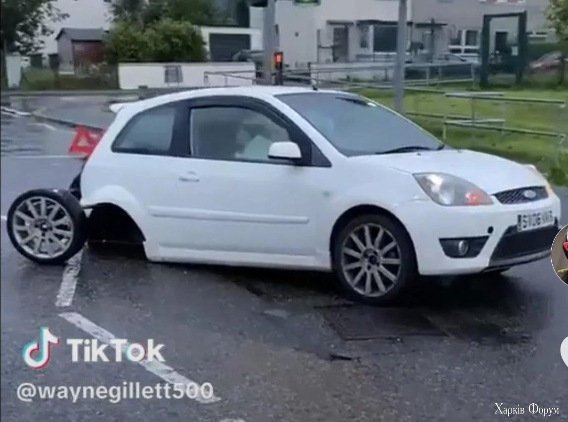 IMG_2068.webp