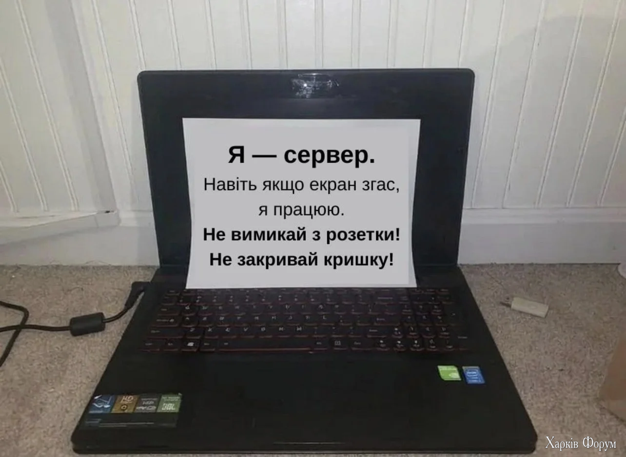 IMG_2226.webp