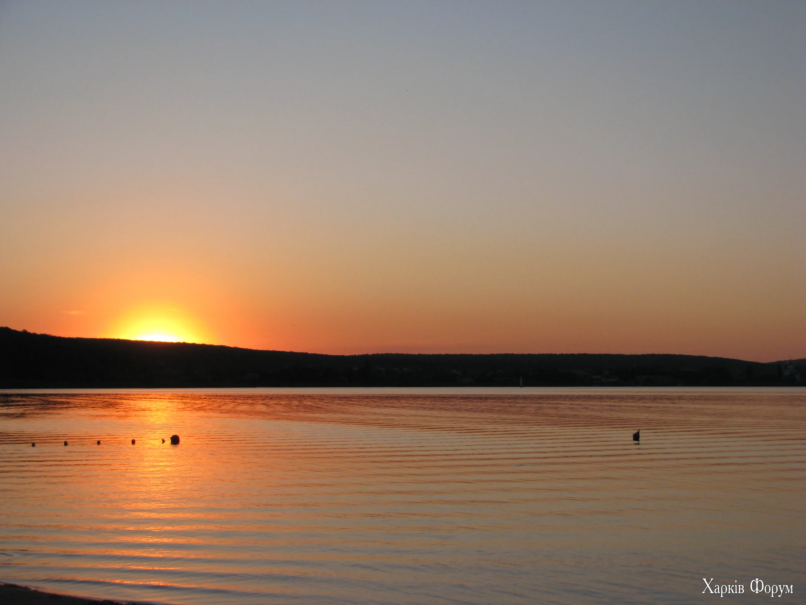 IMG_2362.webp