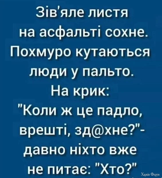 IMG_2368.jpeg