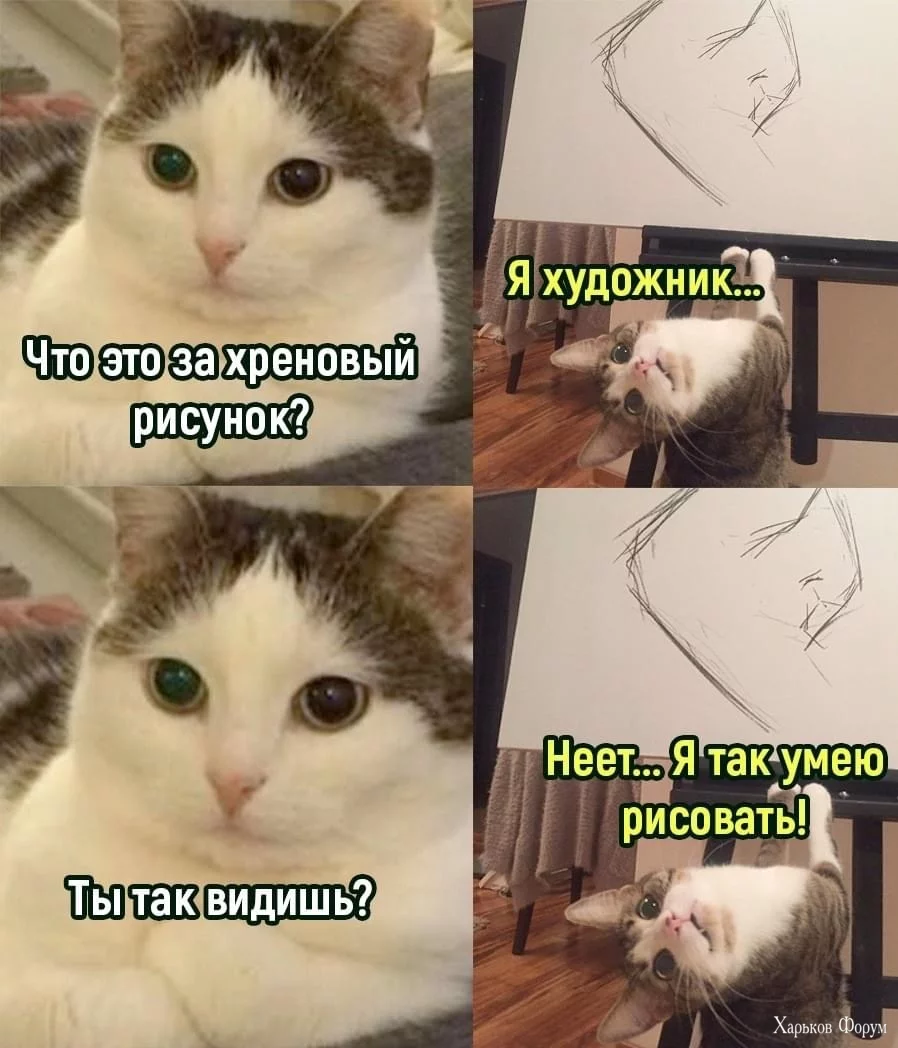 IMG_2374.jpeg