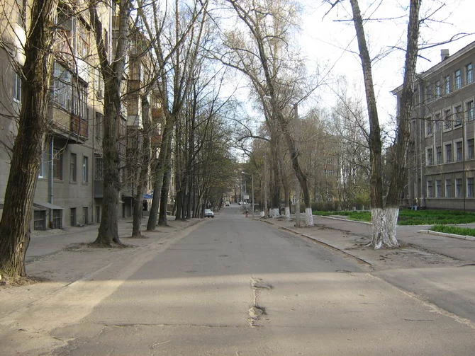 IMG_2449-danilevskogo.webp