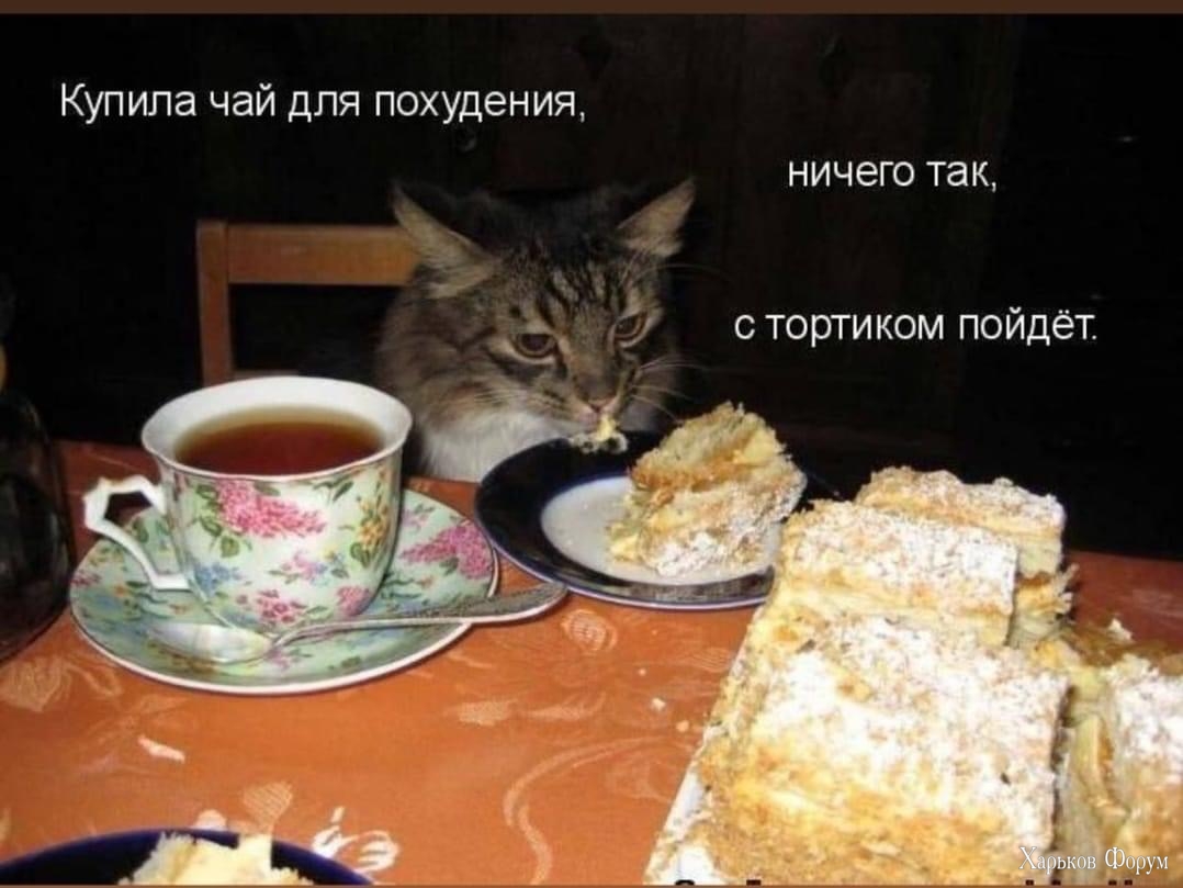 IMG_2564.jpeg