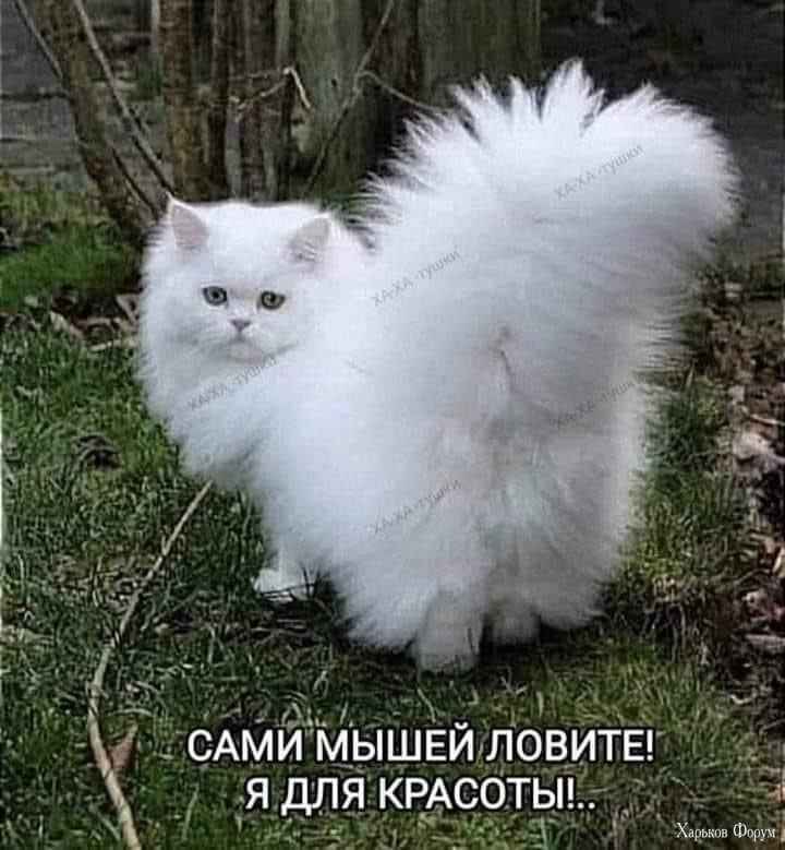 IMG_2566.jpeg