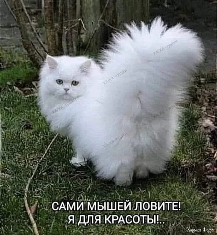 IMG_2566.jpeg