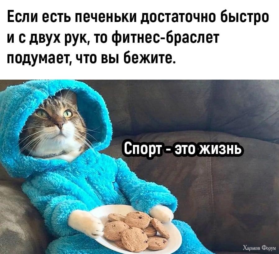 IMG_2630.jpeg