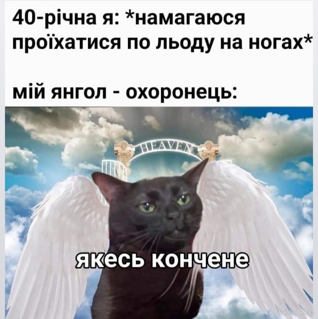 IMG_2634.jpeg