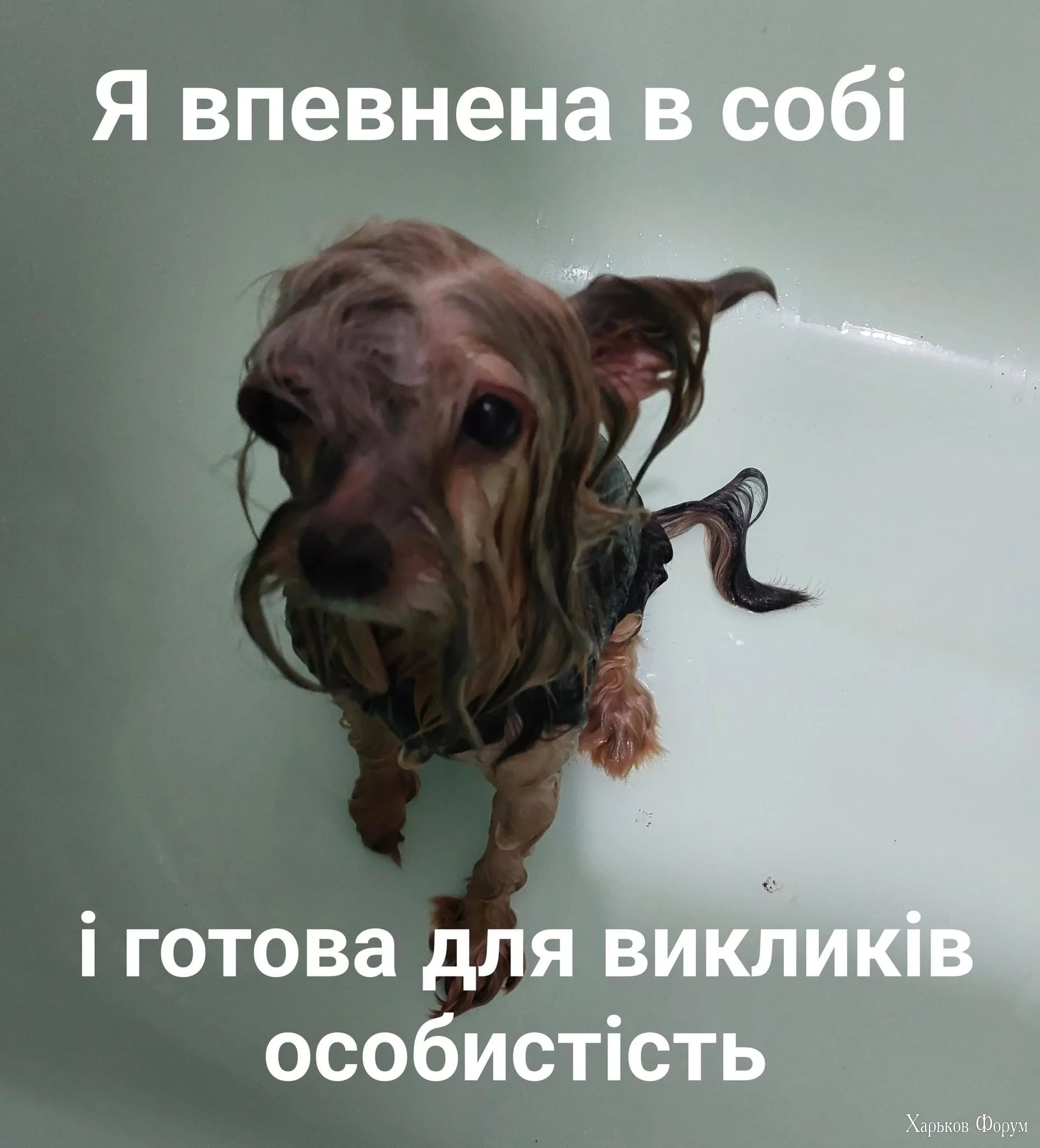 IMG_2698.webp